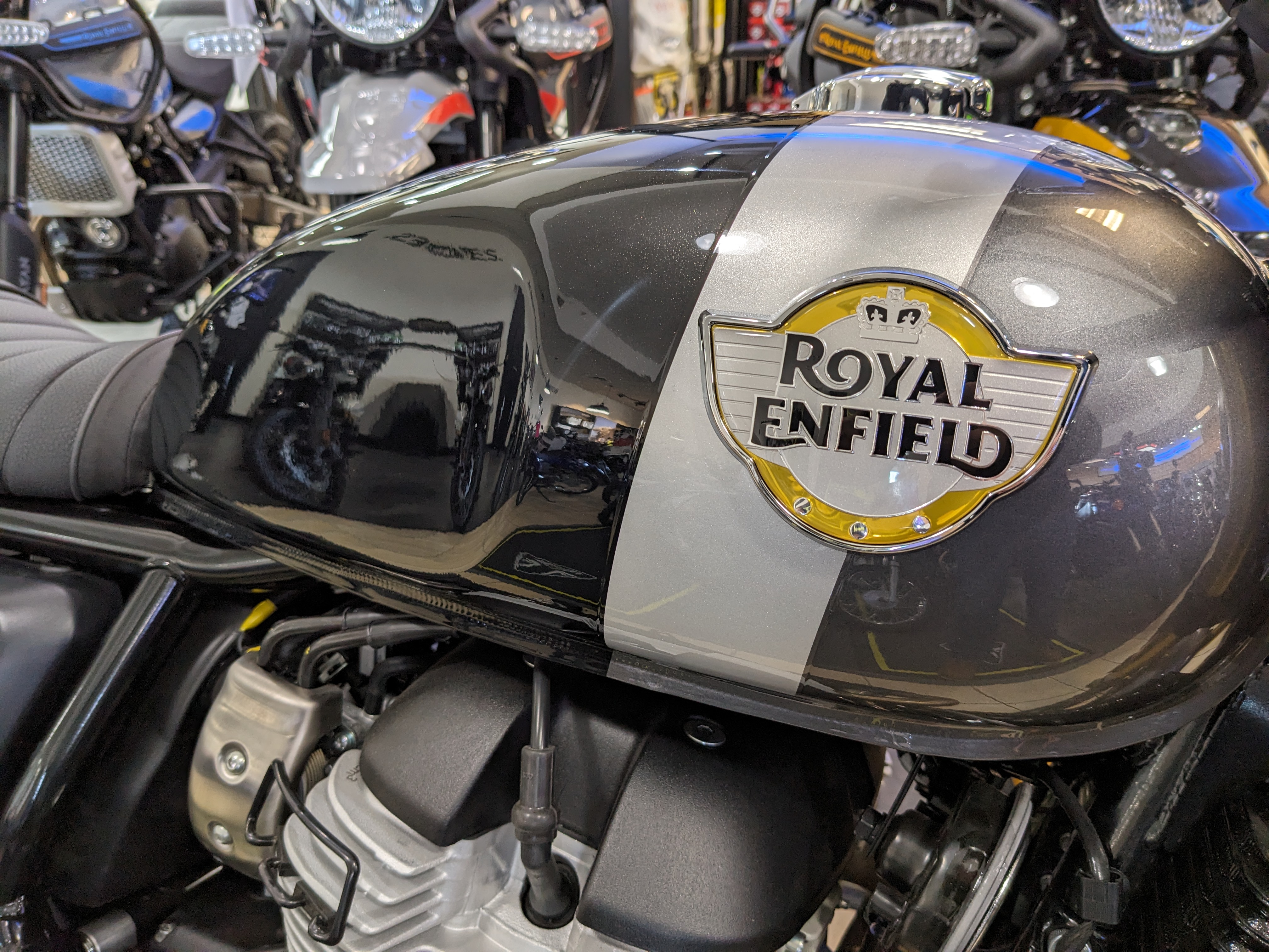 2025 Royal Enfield Bear 650 - Photo 7