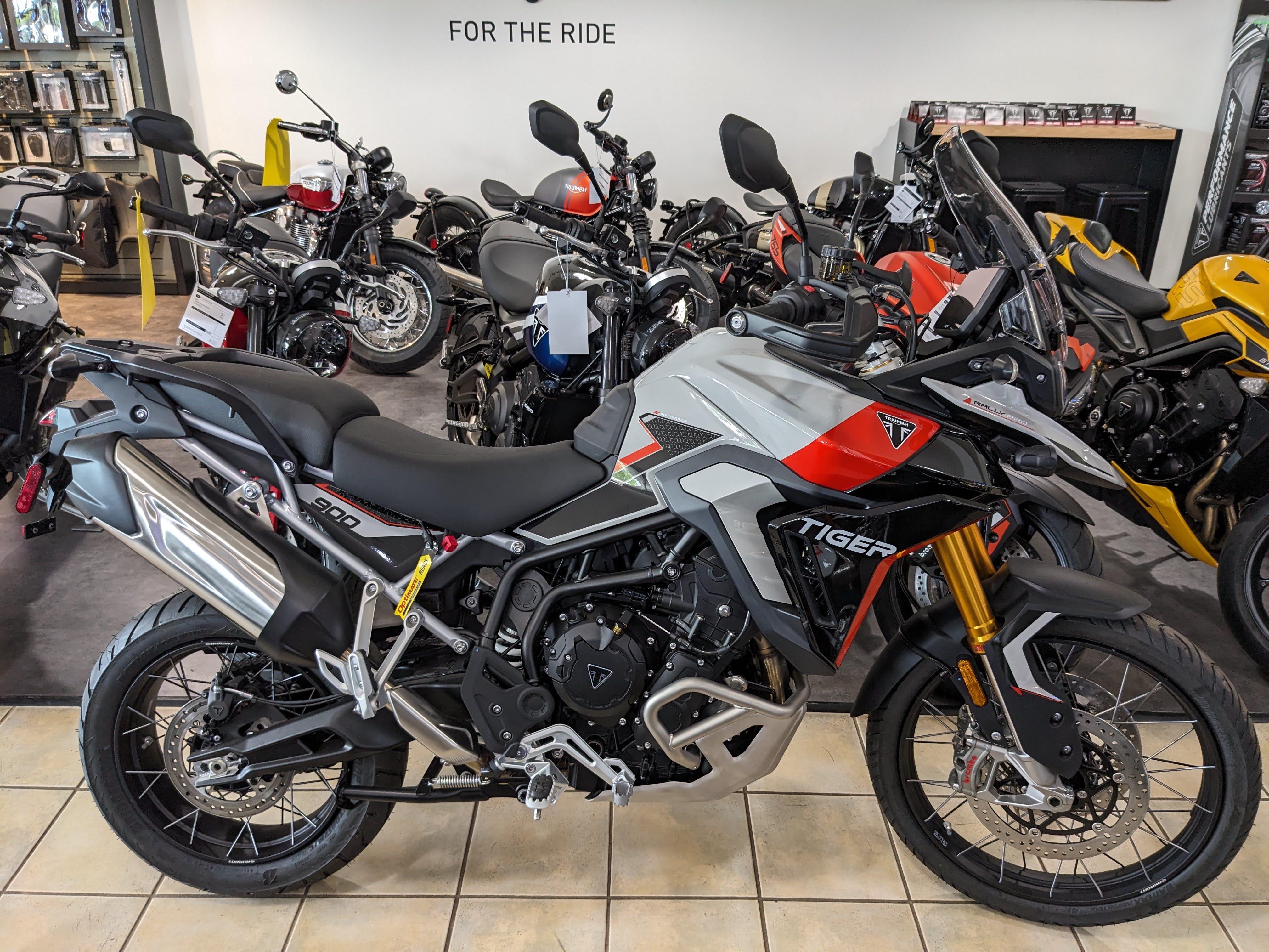 2025 Triumph Tiger 900 Rally Pro