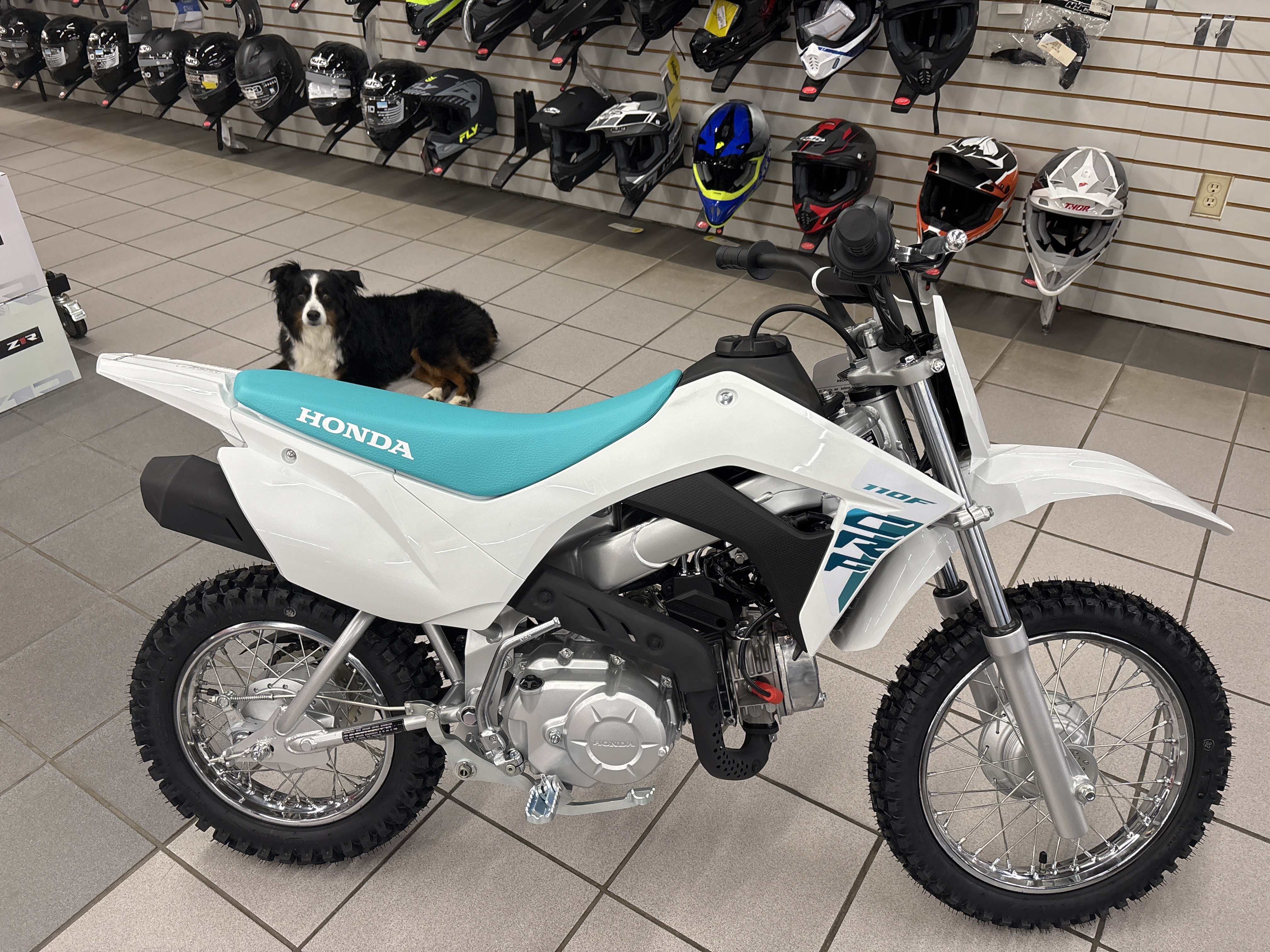 2025 Honda CRF® 110F
