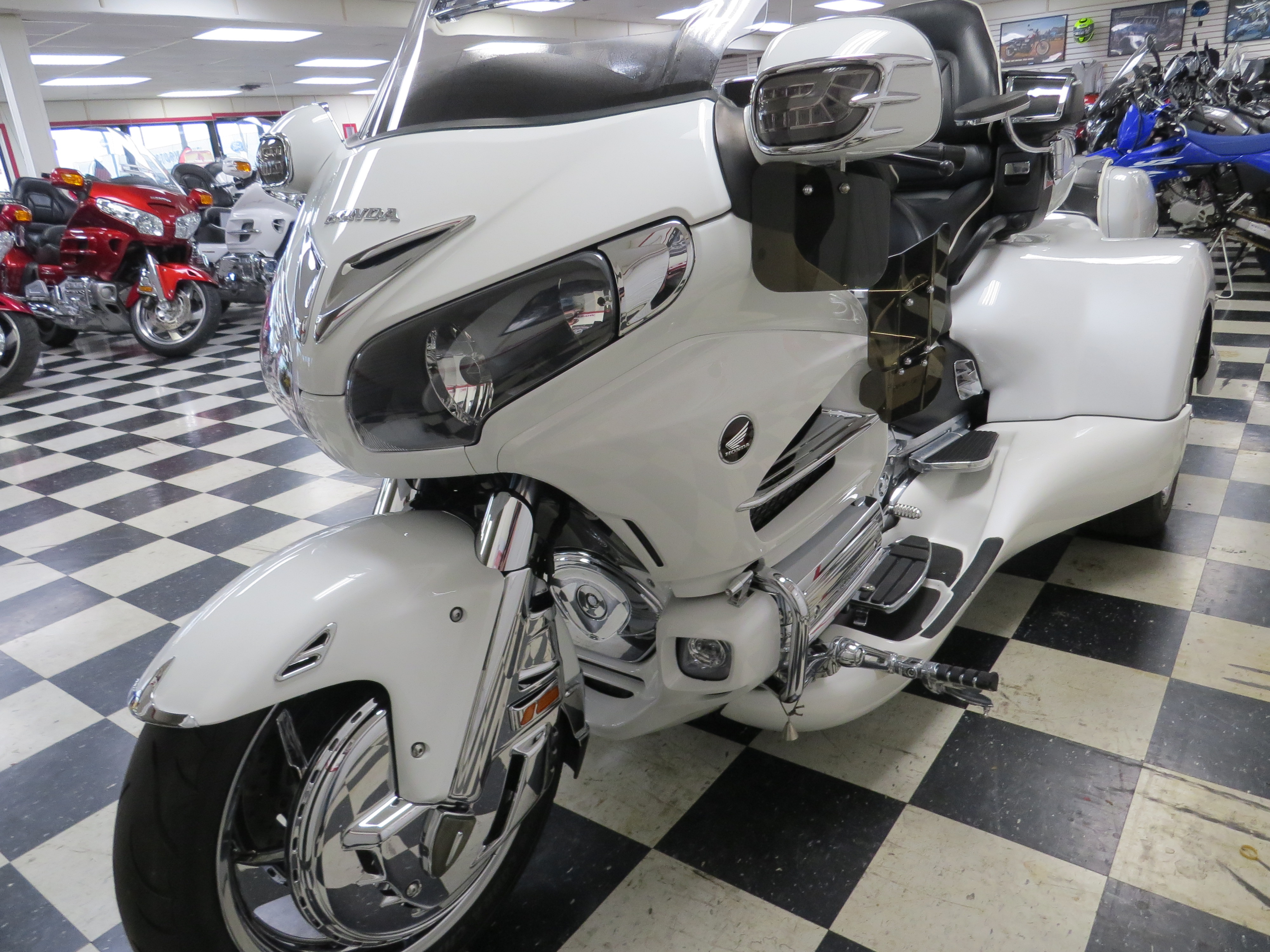 「SALE』P. Willinckii Spur(TC) 【3-3】 Amazon.com : SureFit Spindle Housing Assembly Replaces