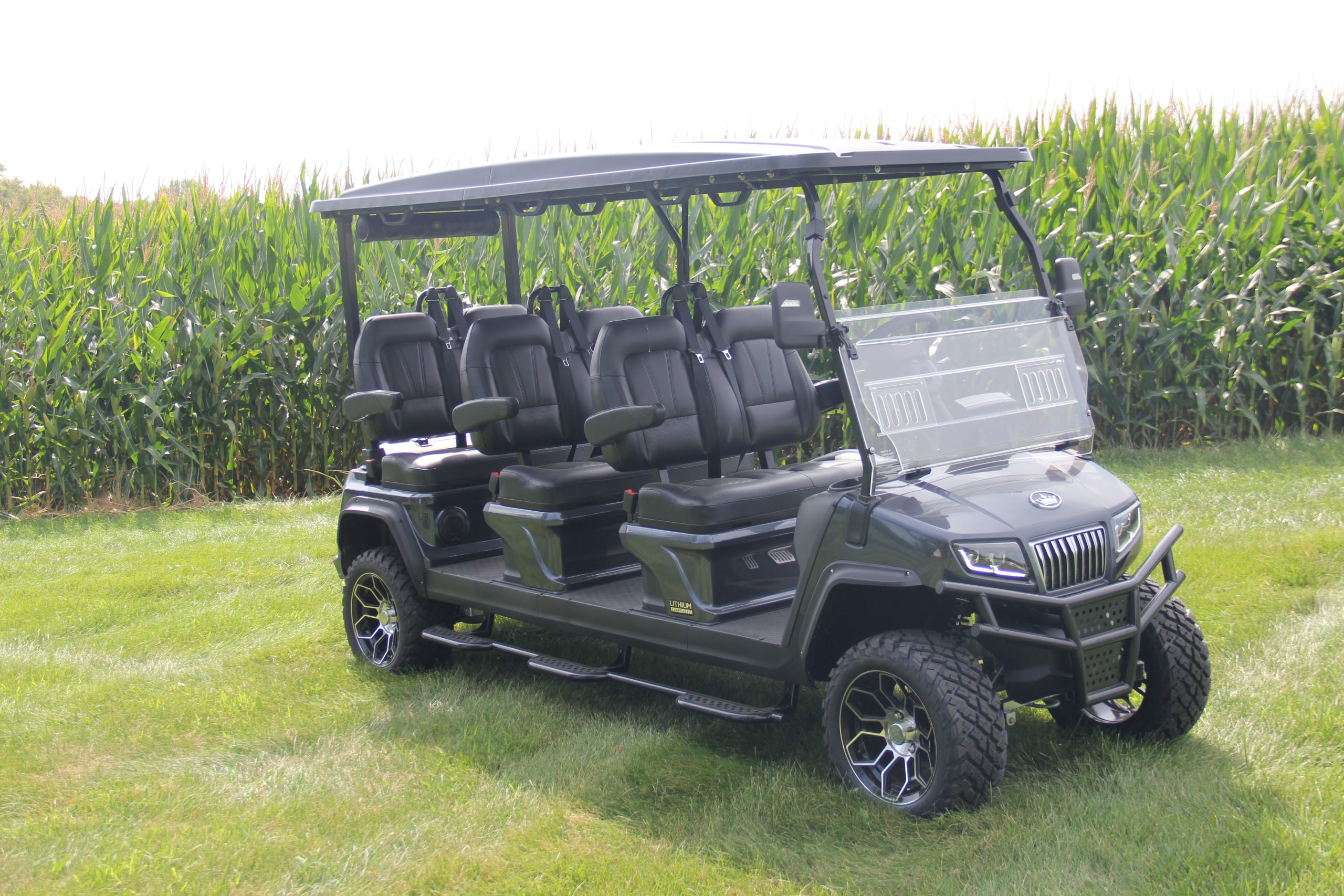 Golf Carts North Atlanta Golf Carts Dawsonville, GA (706) 2652189