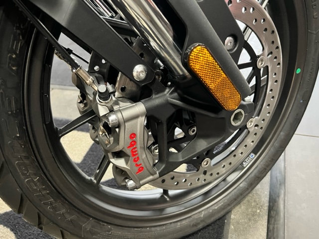 2023 Triumph Tiger 1200 GT Explorer - Photo 9