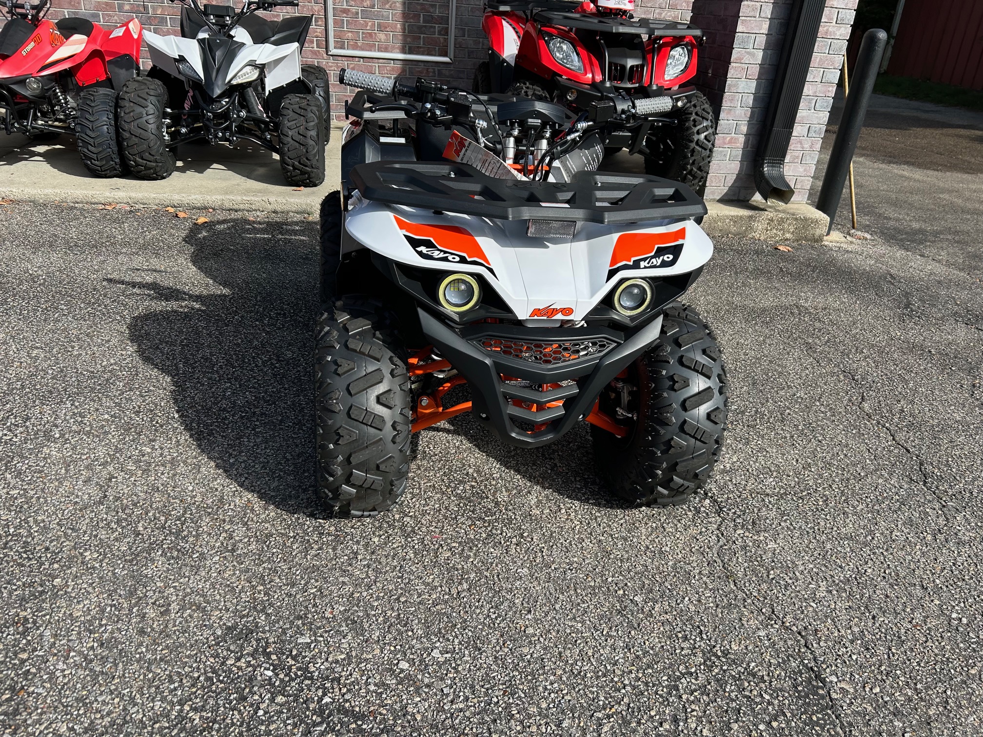 2025 Kayo Bull 125 EFI - Photo 2