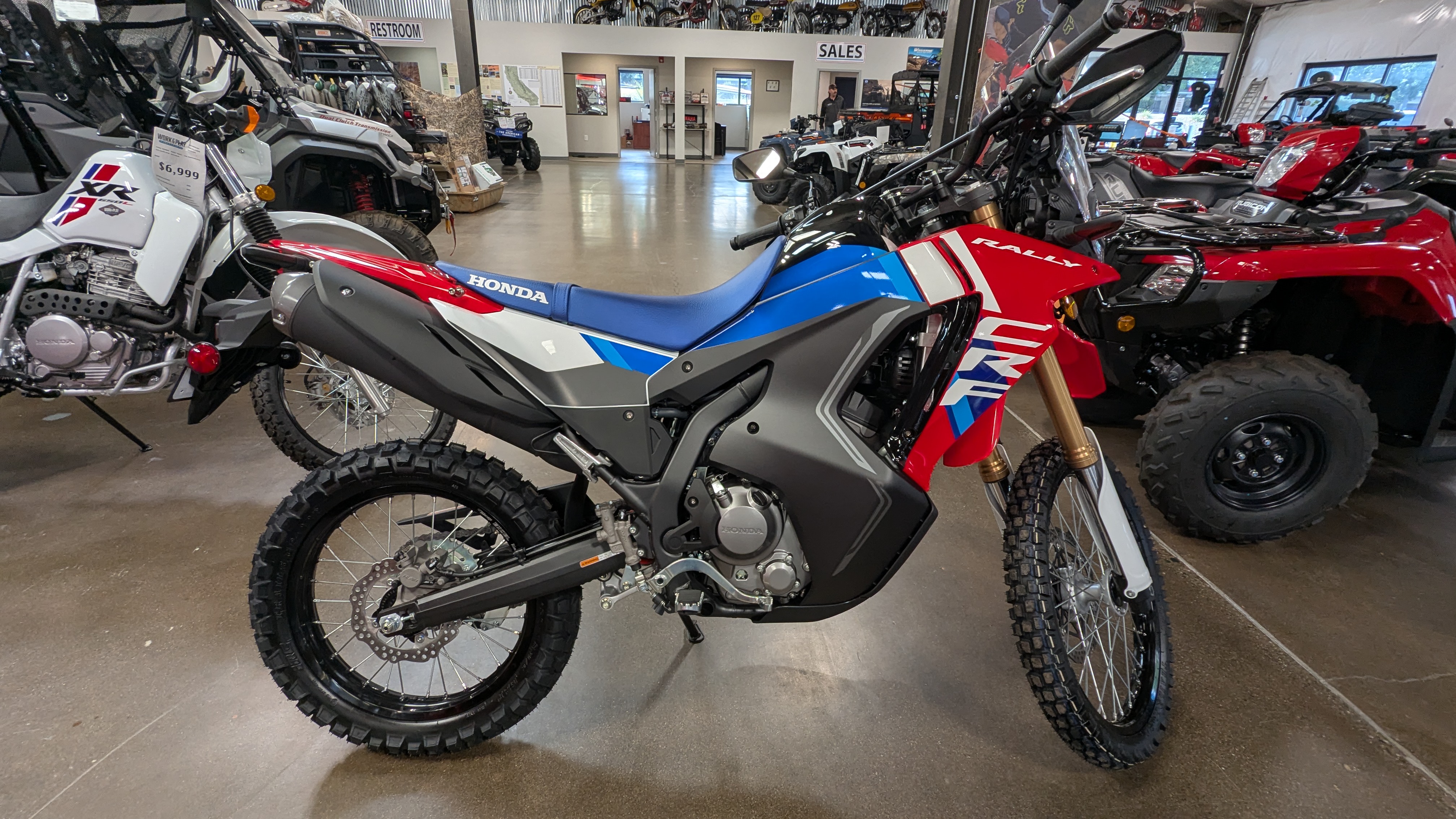 2025 Honda CRF300L RALLY - Photo 2