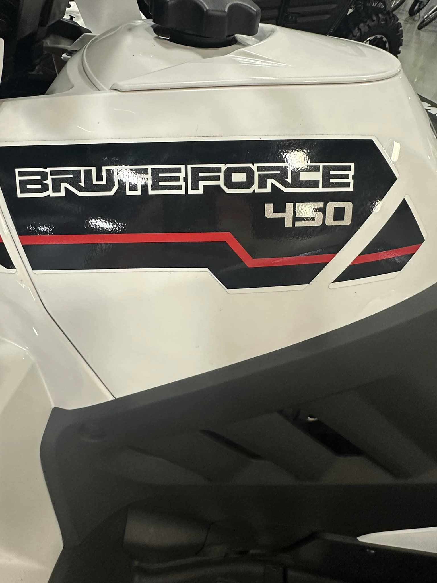 2025 Kawasaki BRUTE FORCE 450 4X4 - Photo 2