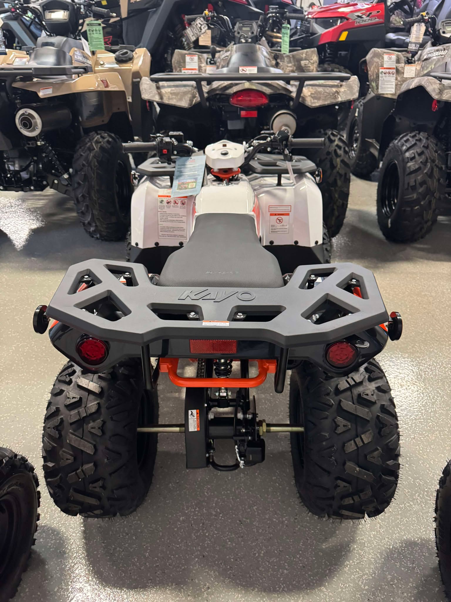 2025 Kayo BULL 110 - Photo 3