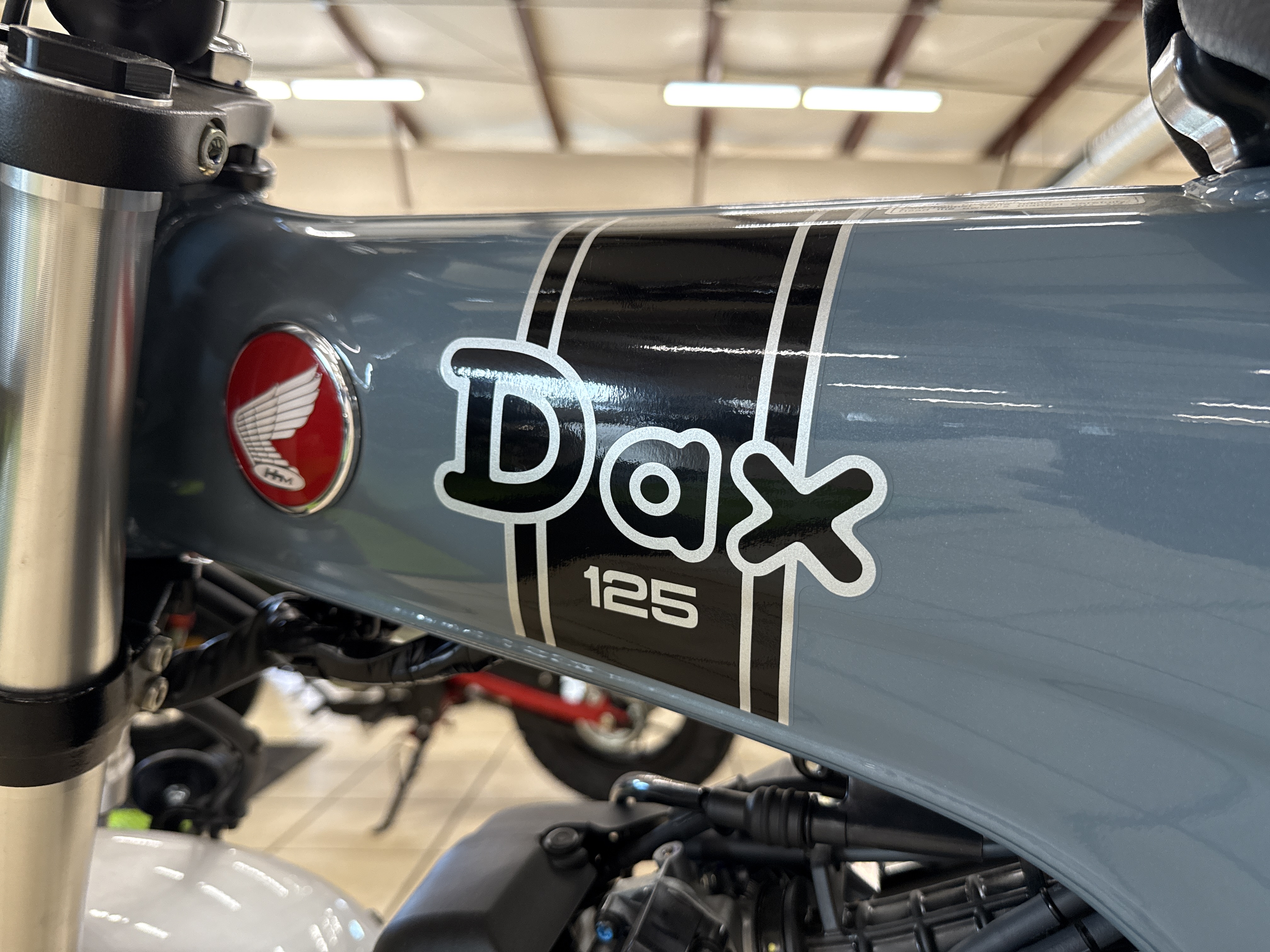 2025 Honda DAX - Photo 4