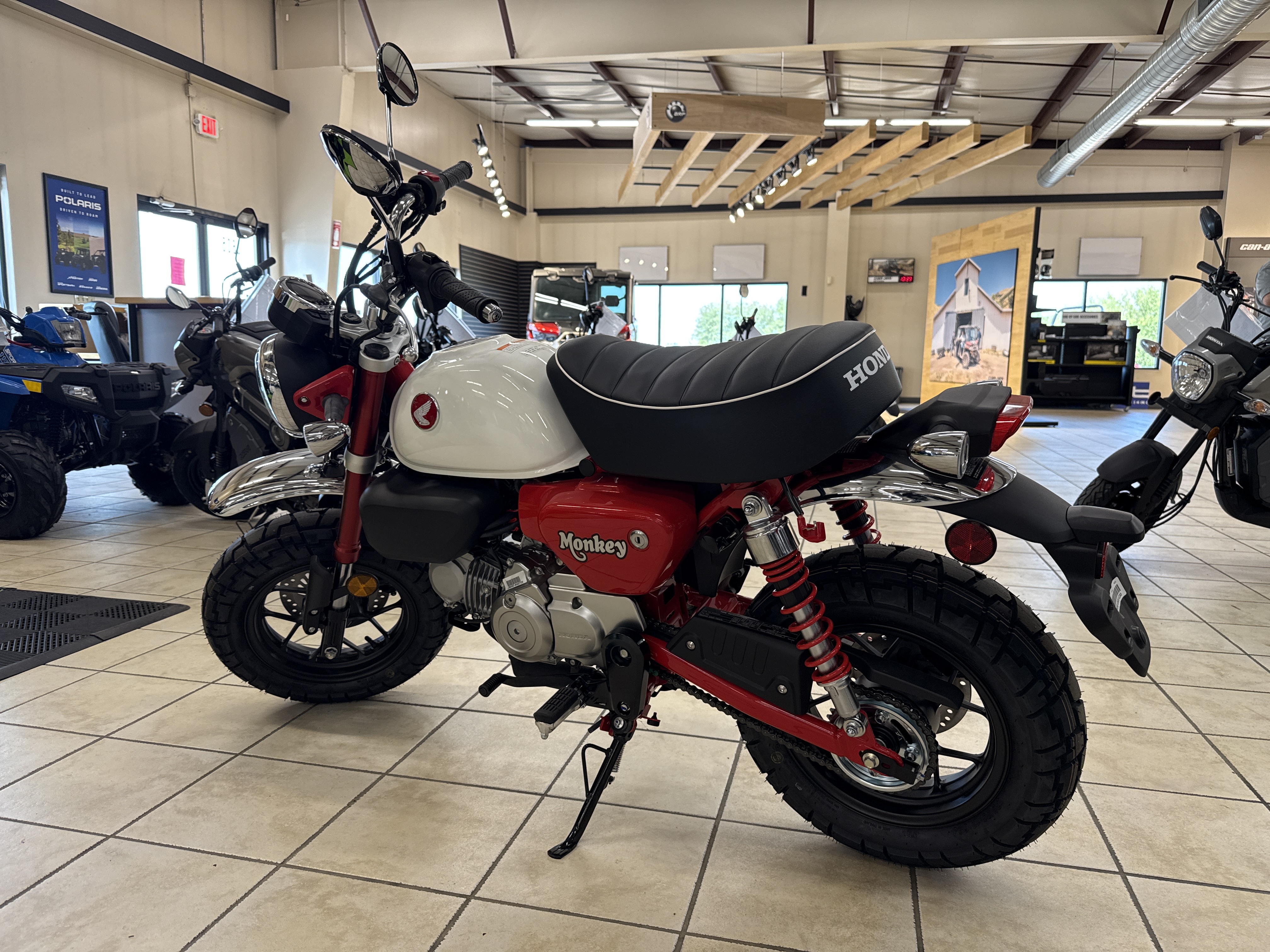 2025 Honda MONKEY - Photo 3