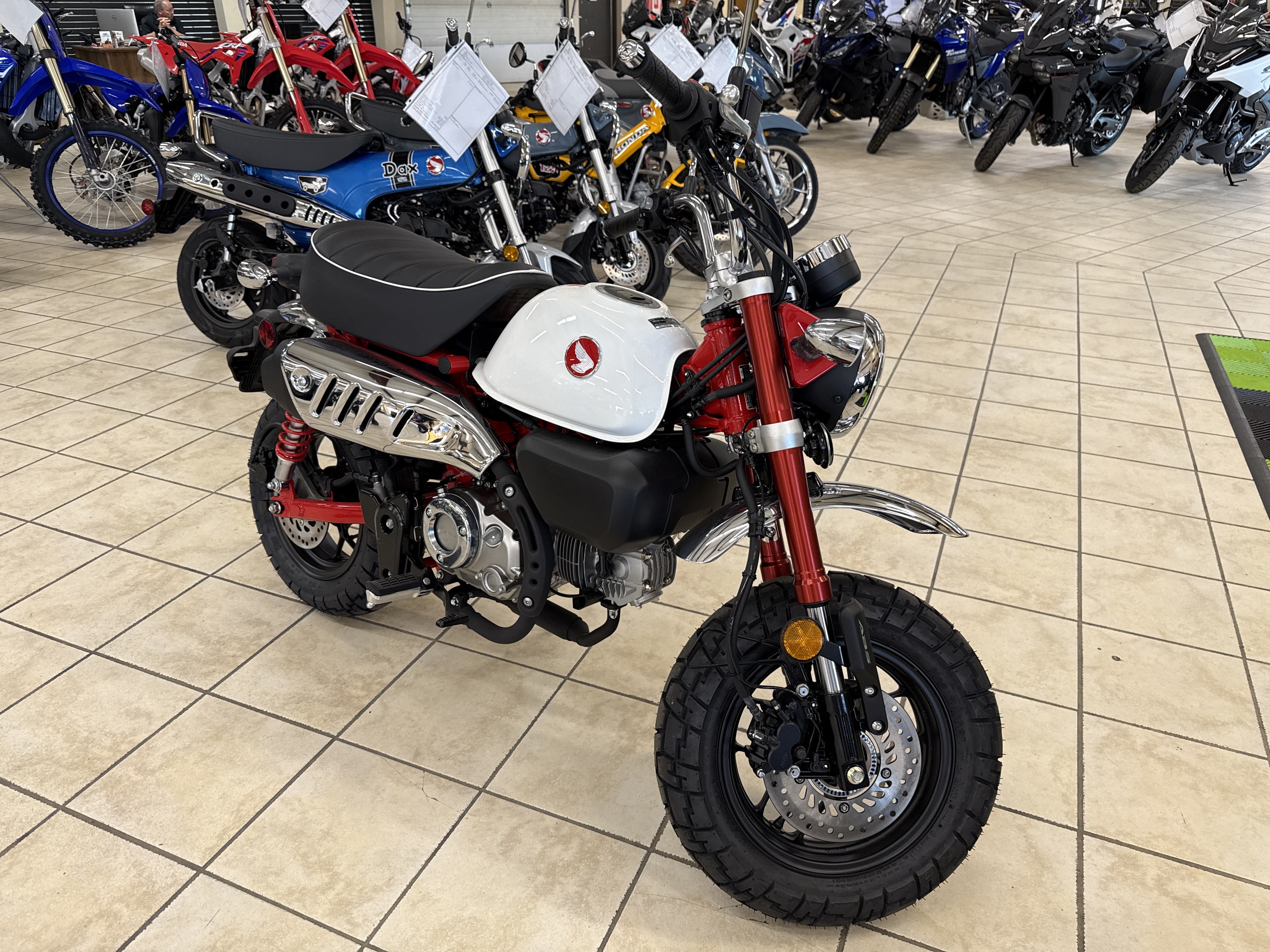 2025 Honda MONKEY