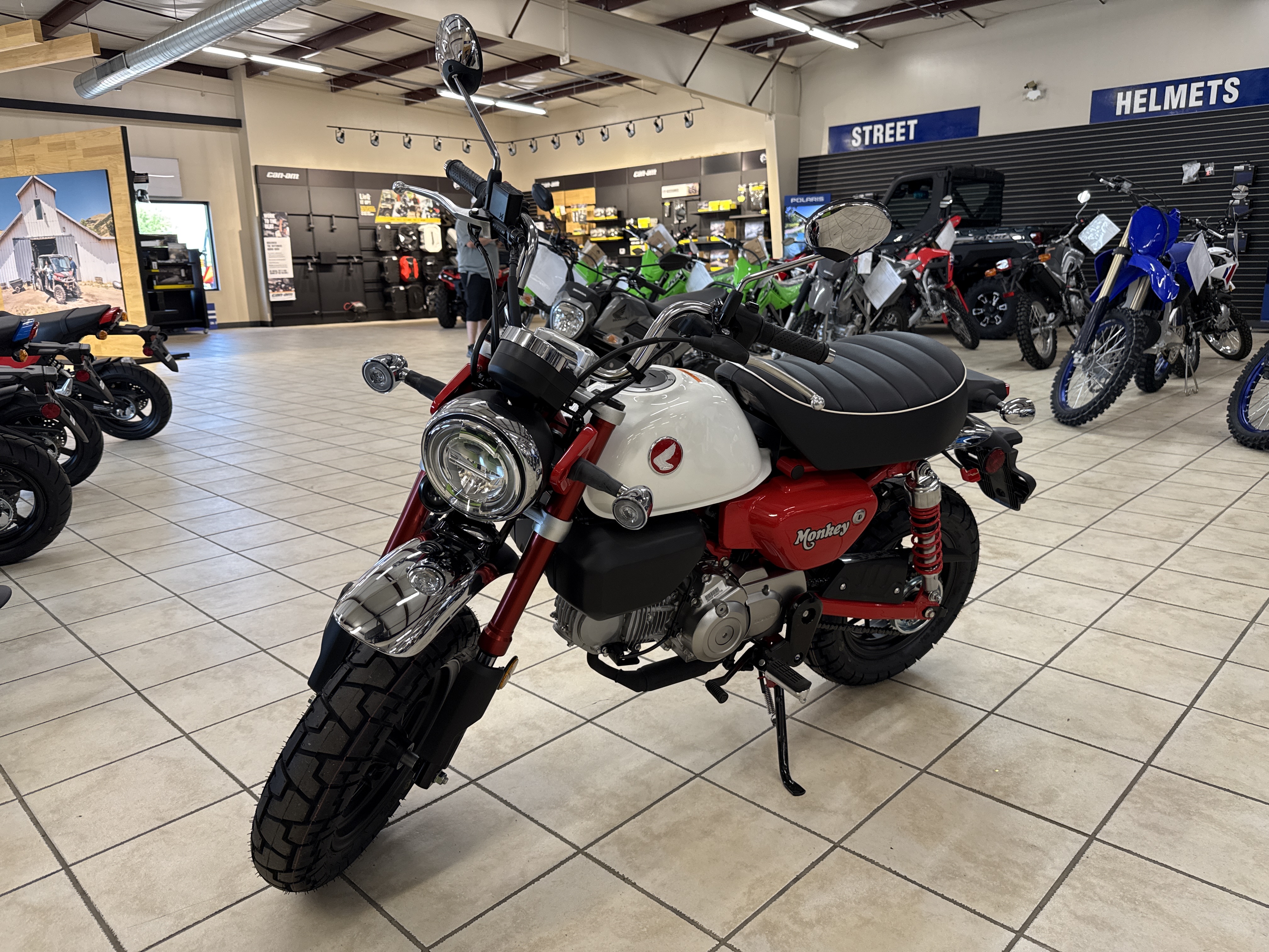 2025 Honda MONKEY - Photo 5