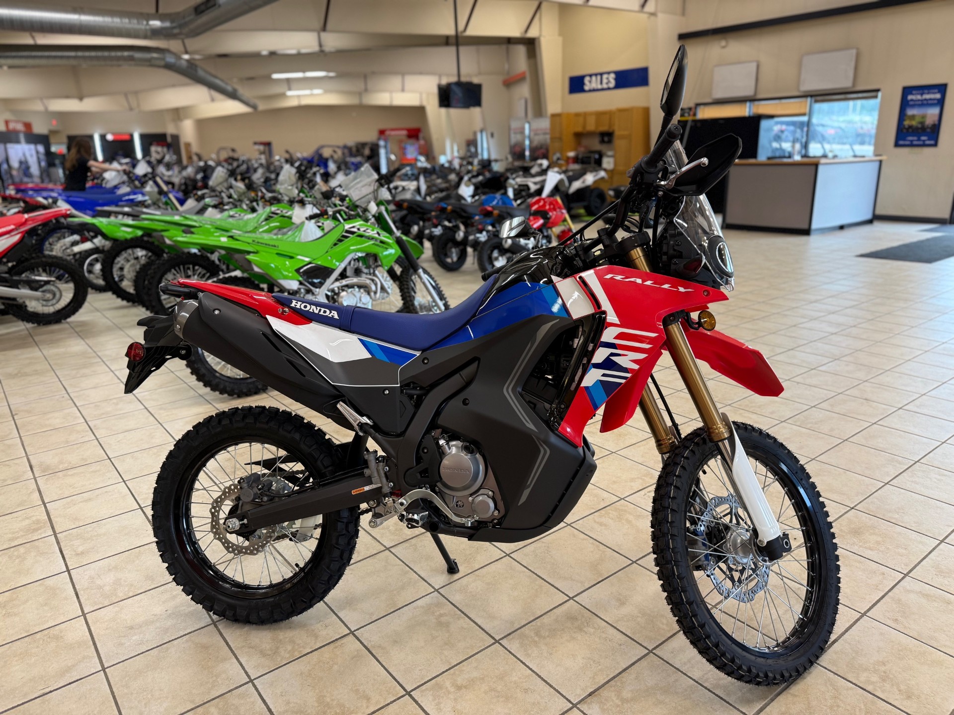 2025 Honda CRF300L RALLY - Photo 2
