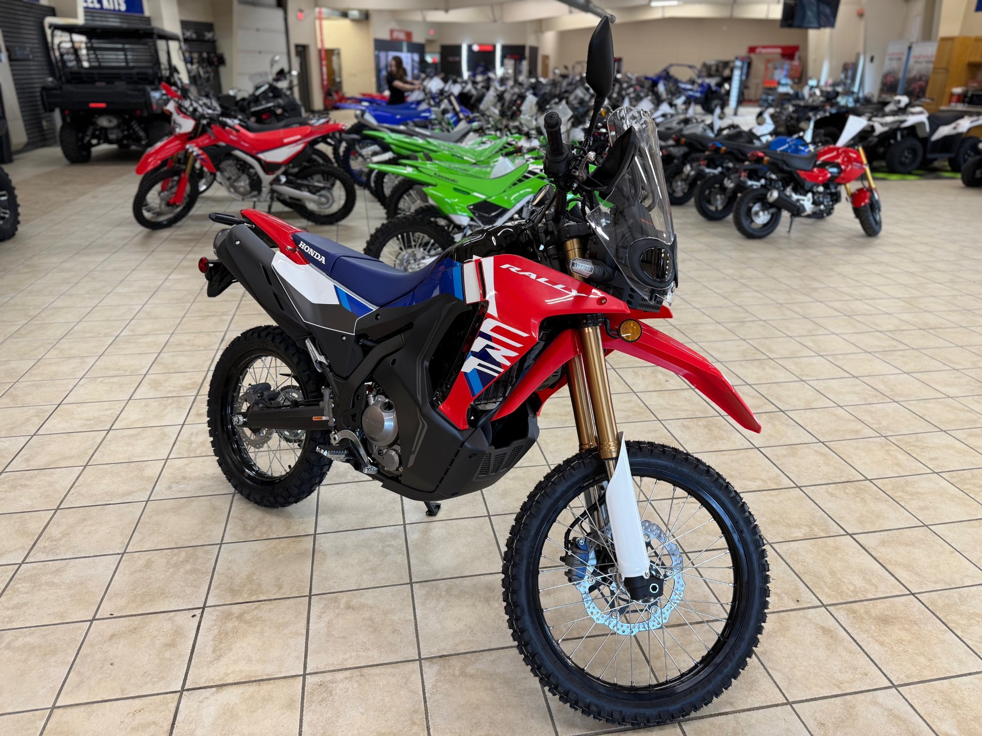 2025 Honda CRF300L RALLY
