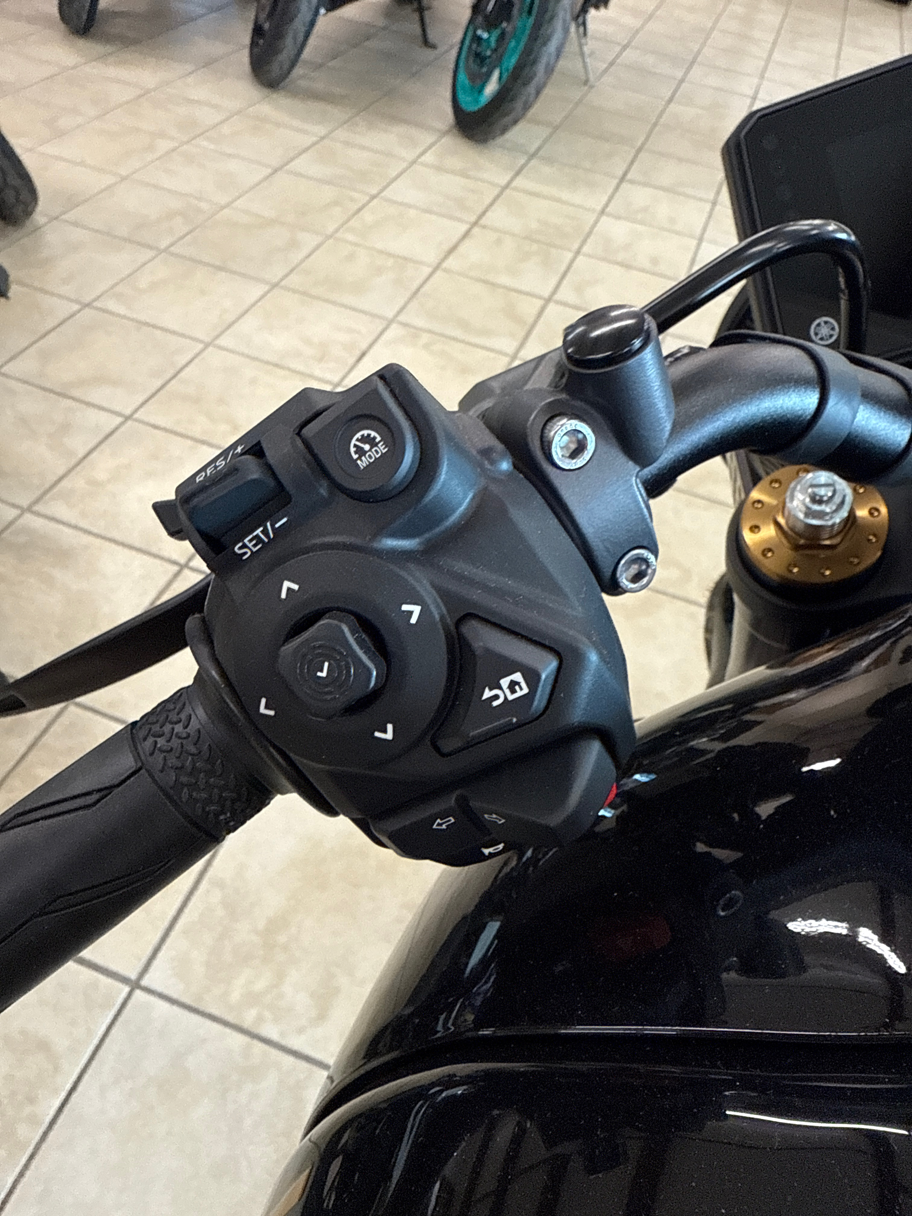 2025 Yamaha XSR900 CA - Photo 6