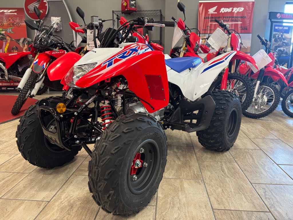 2026 Honda TRX250X