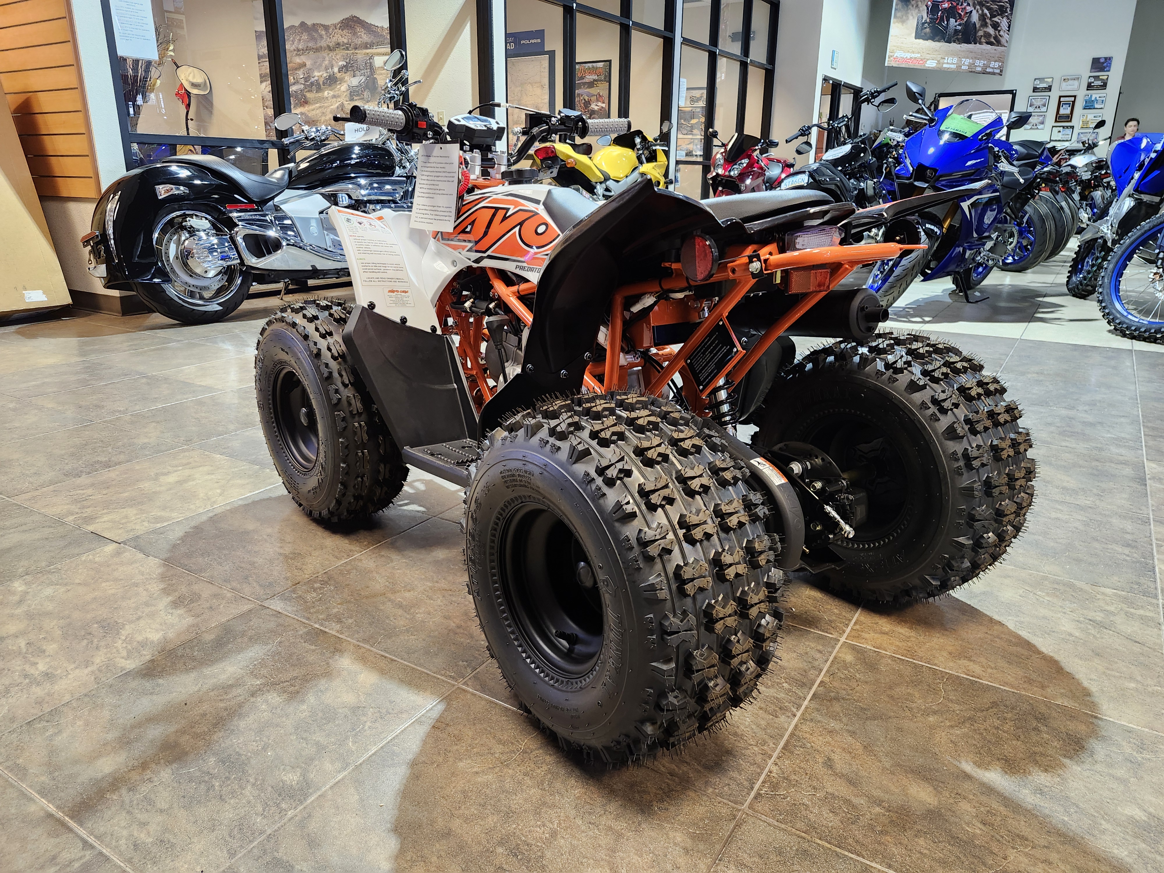 2025 Kayo PREDATOR 125 - Photo 3