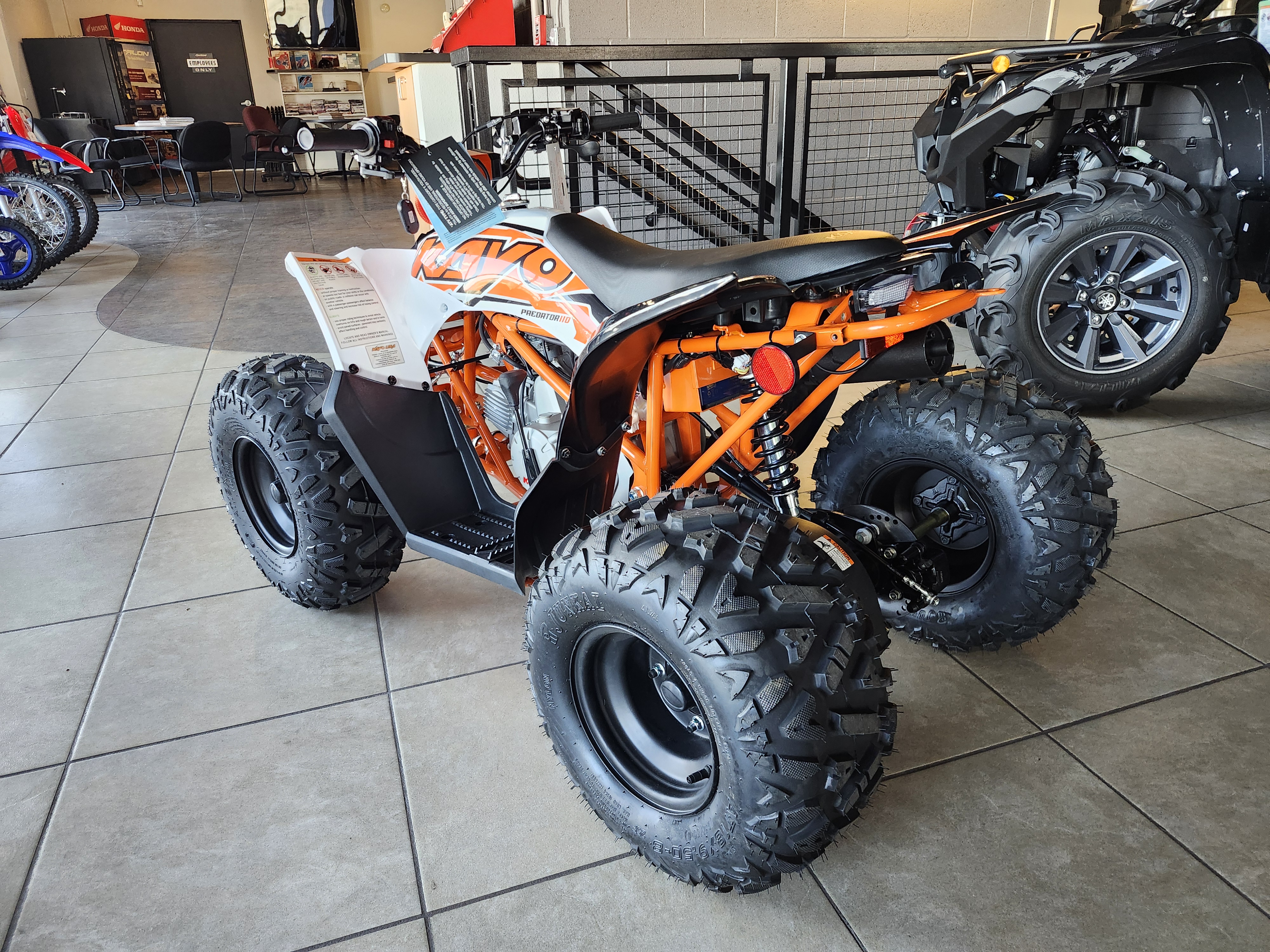 2025 Kayo PREDATOR 110 - Photo 3