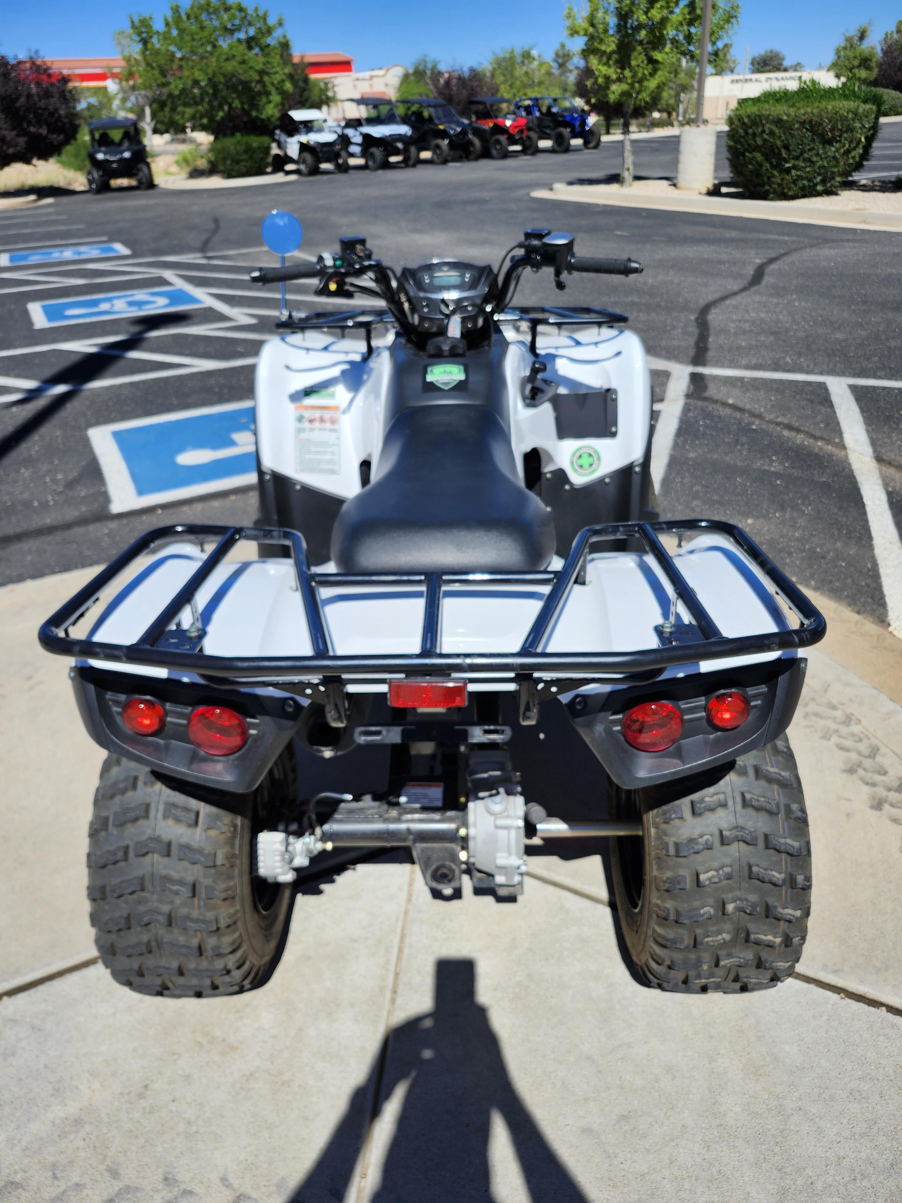 2022 Kawasaki Brute Force 300 - Photo 5