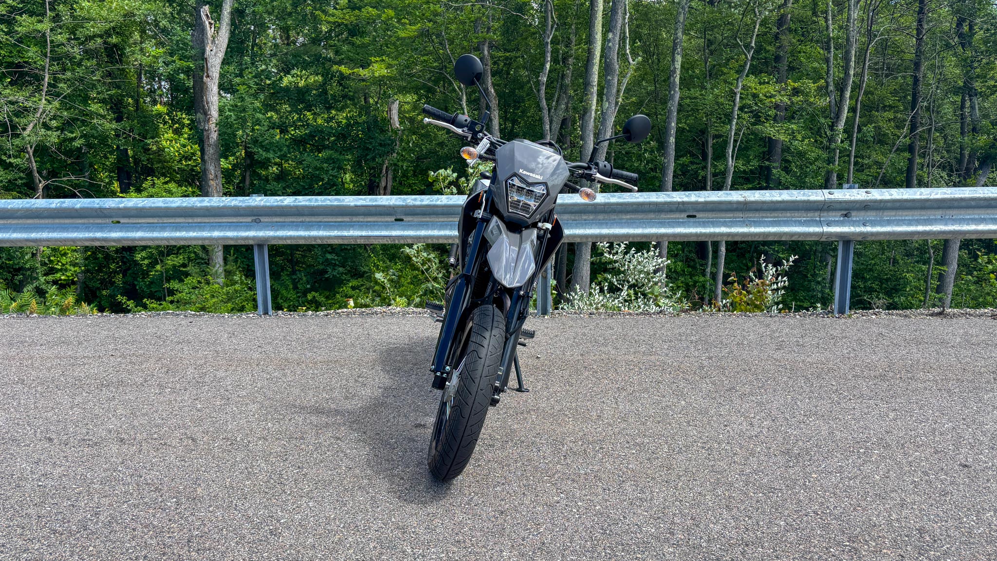 2024 Kawasaki KLX 230SM ABS - Photo 8
