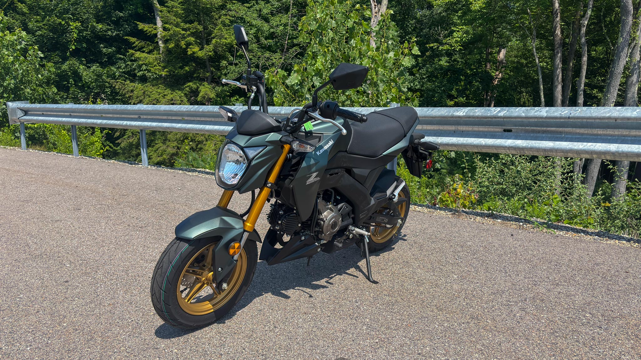 2025 Kawasaki Z125 PRO