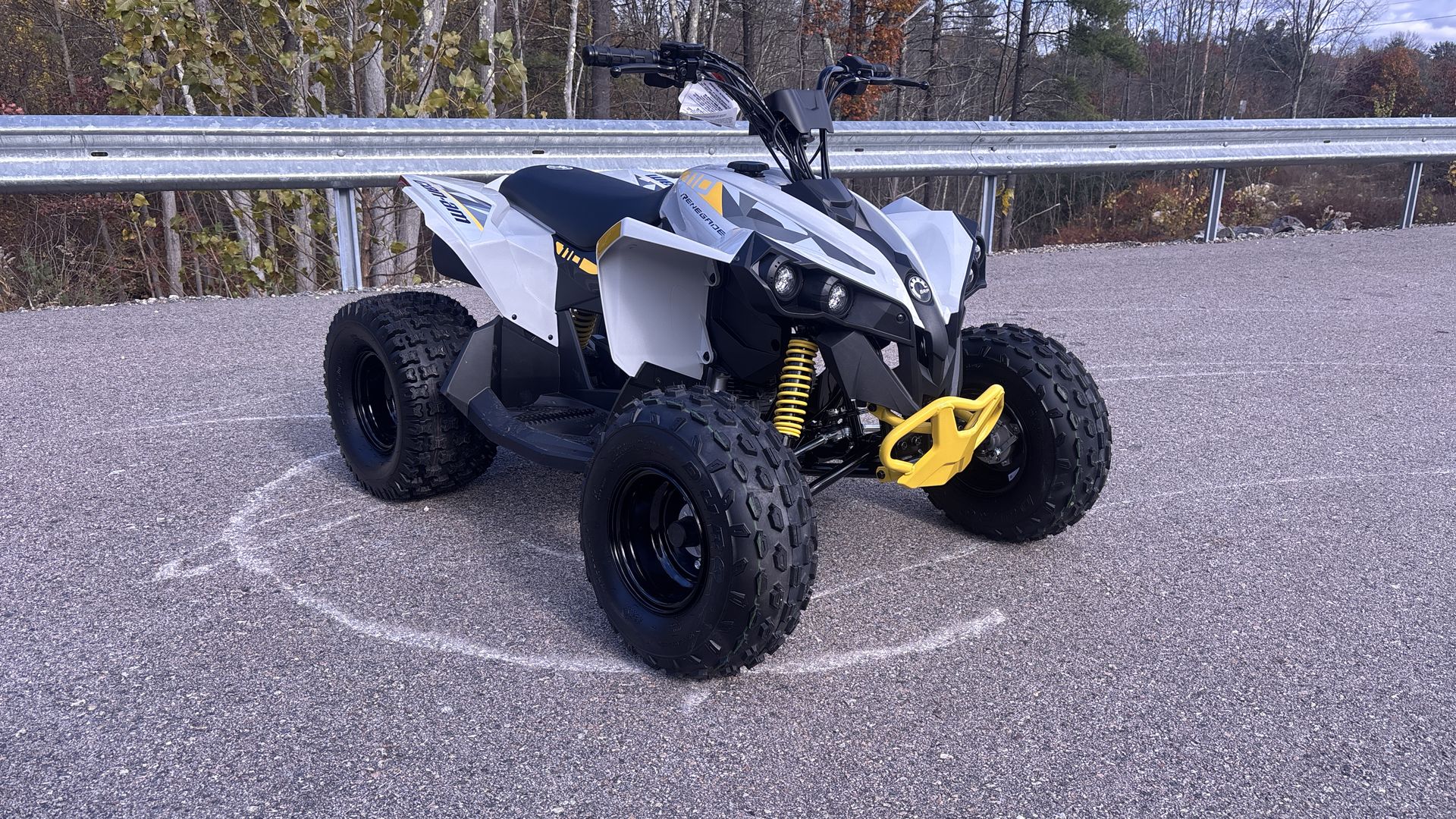 2026 Can-Am RENEGADE 110 EFI