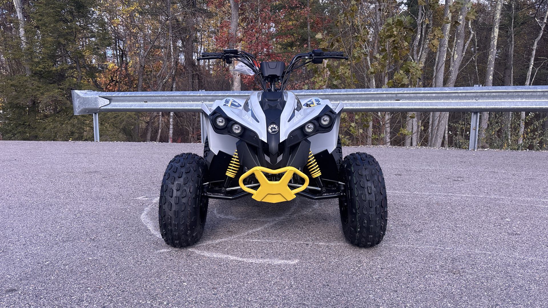 2026 Can-Am RENEGADE 110 EFI - Photo 2