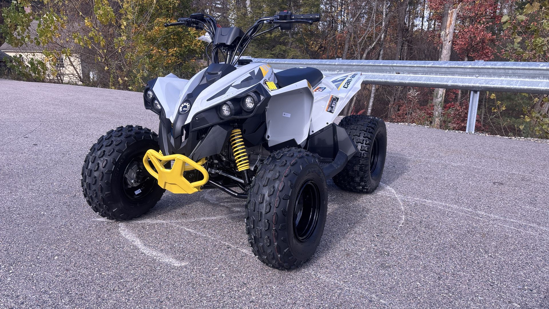 2026 Can-Am RENEGADE 110 EFI - Photo 3