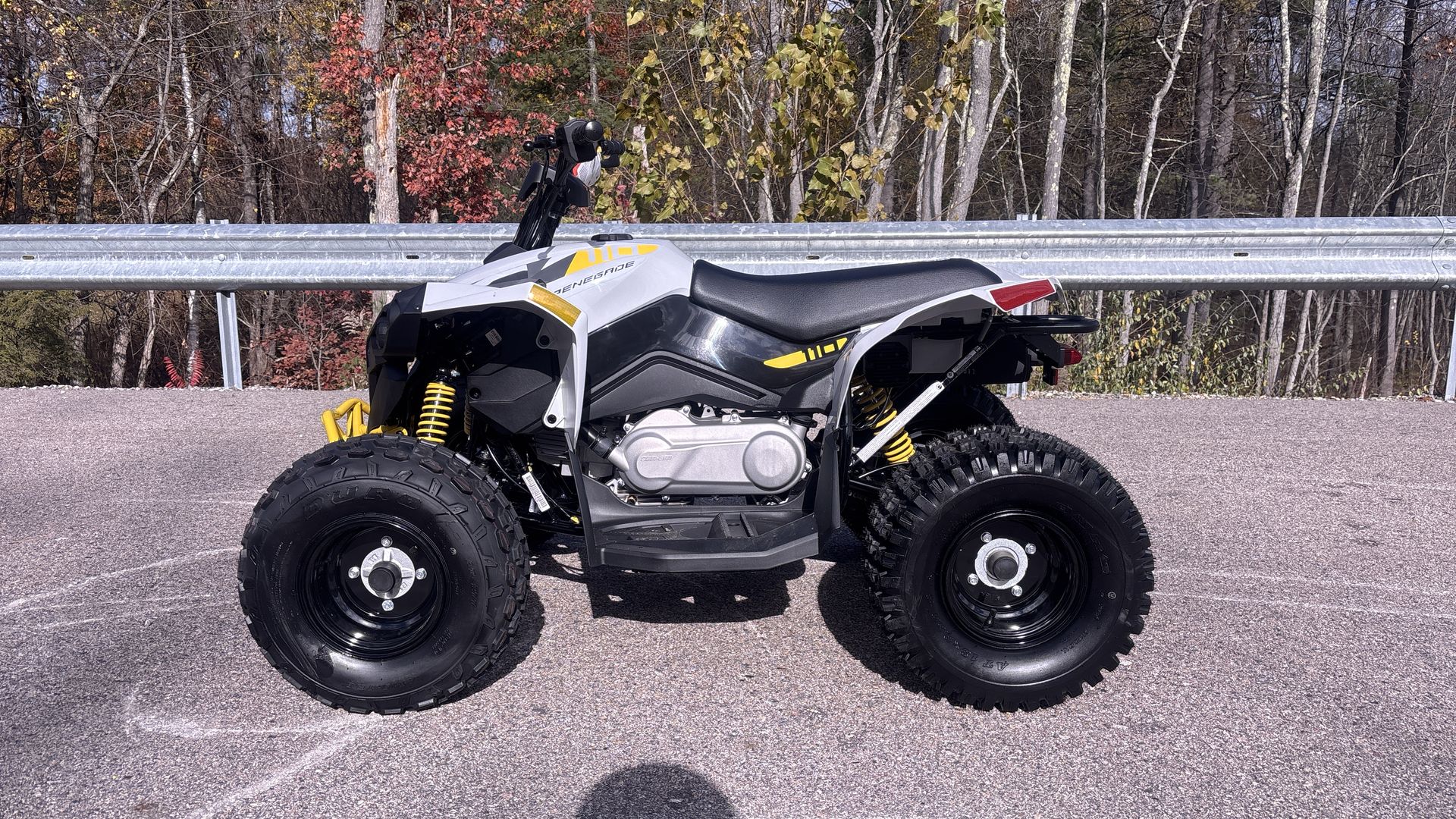 2026 Can-Am RENEGADE 110 EFI - Photo 4