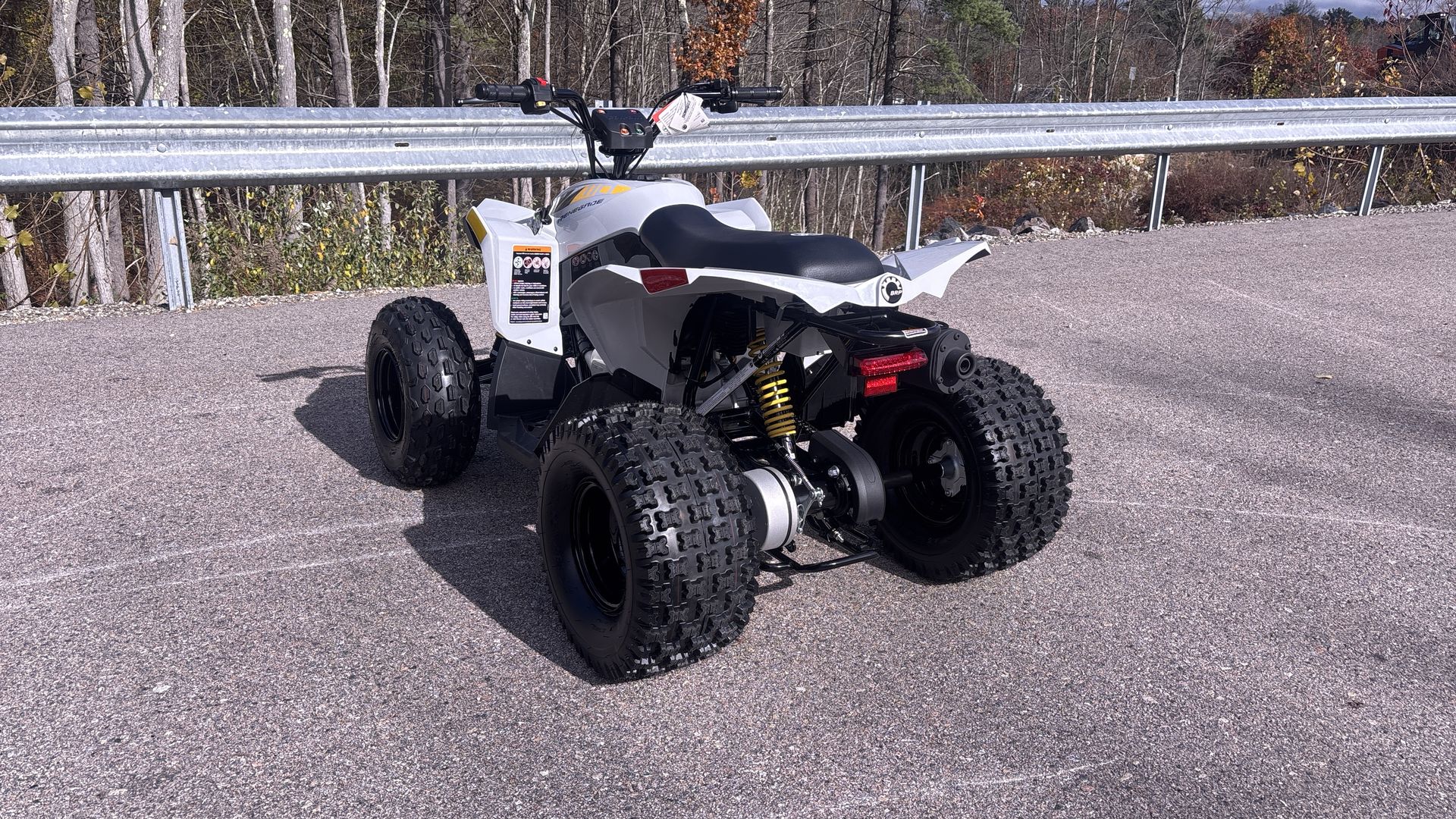 2026 Can-Am RENEGADE 110 EFI - Photo 5
