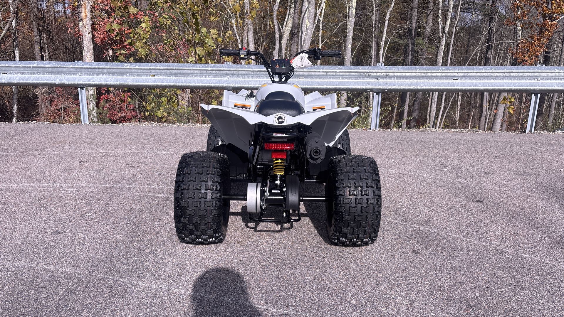 2026 Can-Am RENEGADE 110 EFI - Photo 6