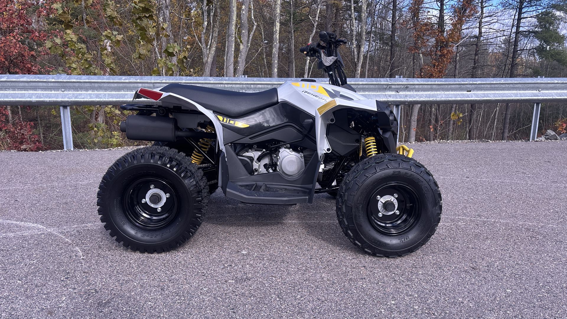 2026 Can-Am RENEGADE 110 EFI - Photo 8