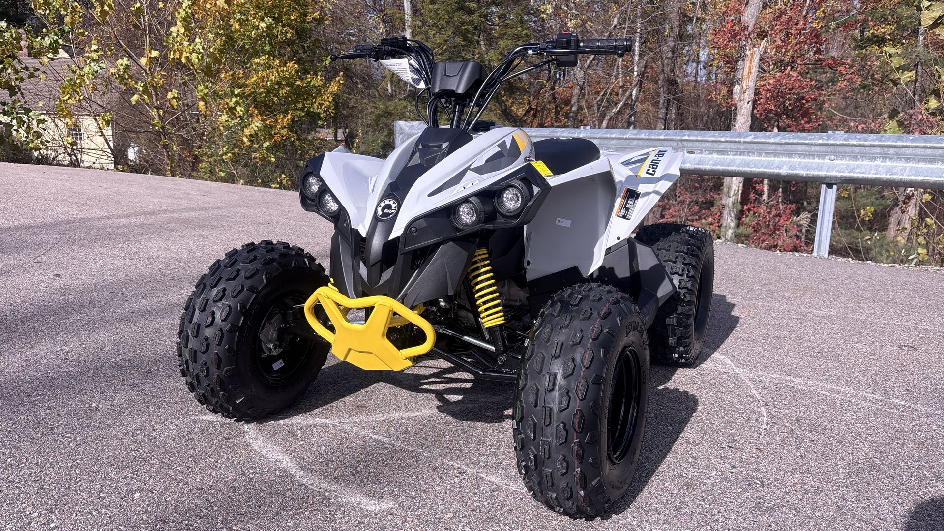 2026 Can-Am RENEGADE 110 EFI - Photo 9