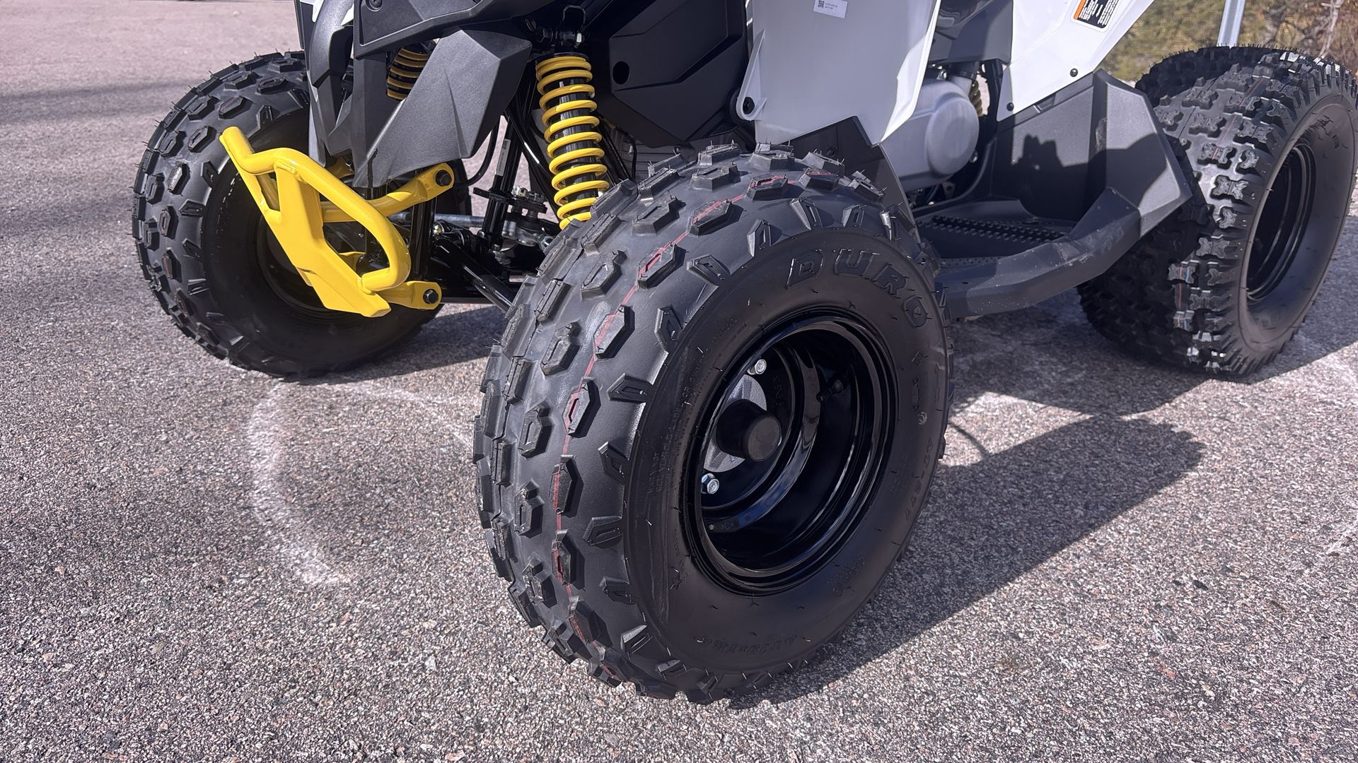 2026 Can-Am RENEGADE 110 EFI - Photo 10