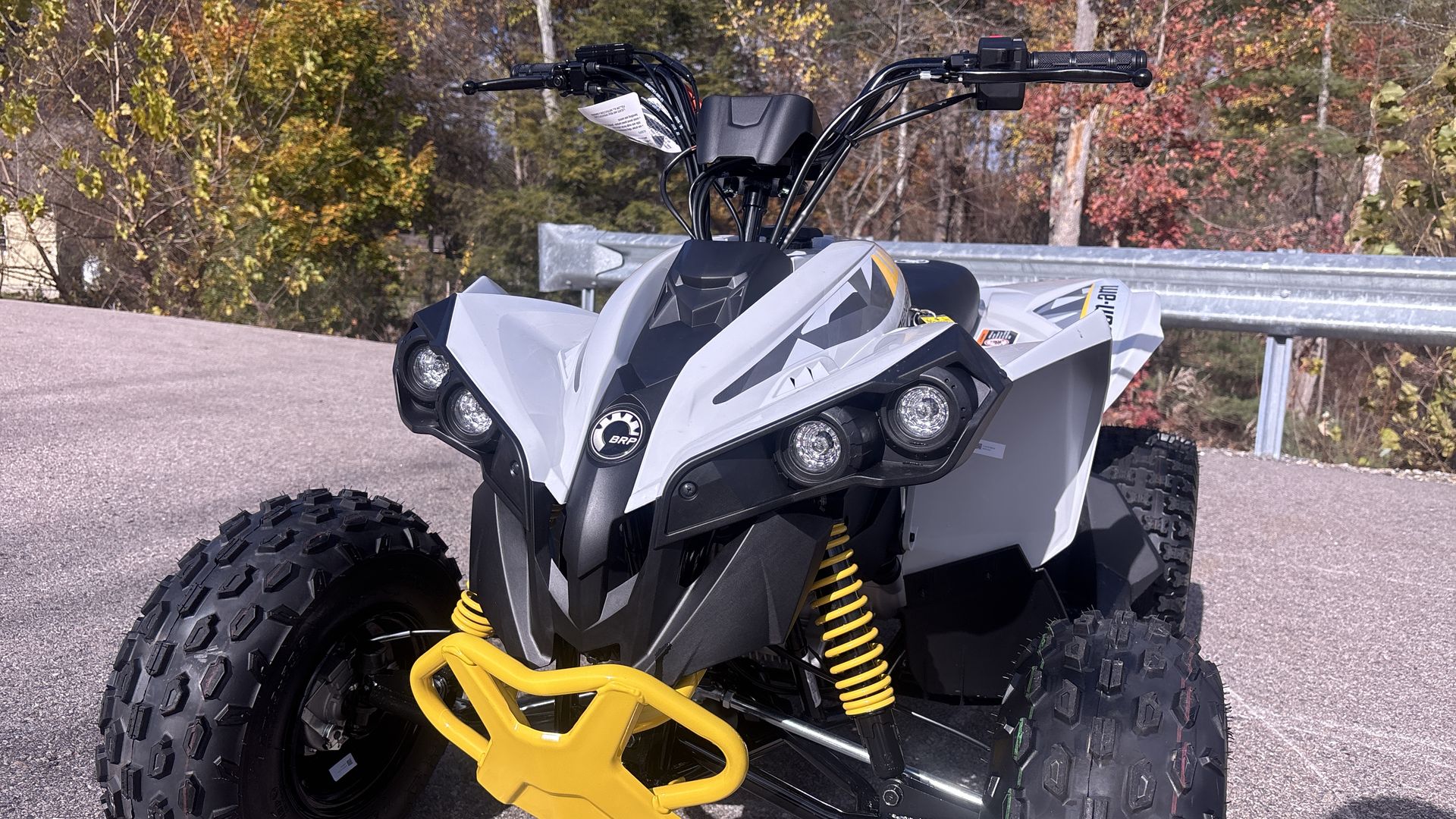 2026 Can-Am RENEGADE 110 EFI - Photo 11
