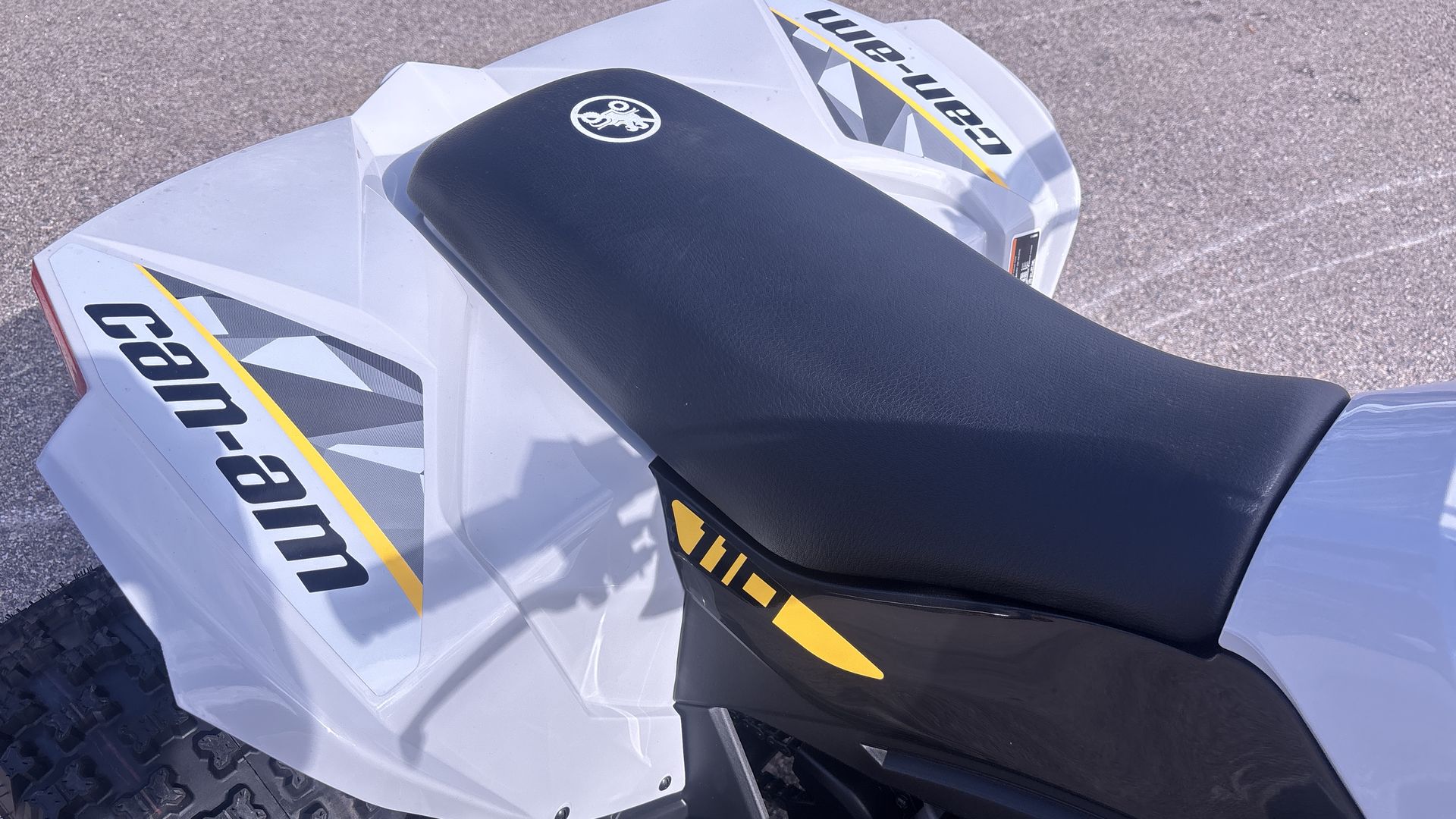2026 Can-Am RENEGADE 110 EFI - Photo 14