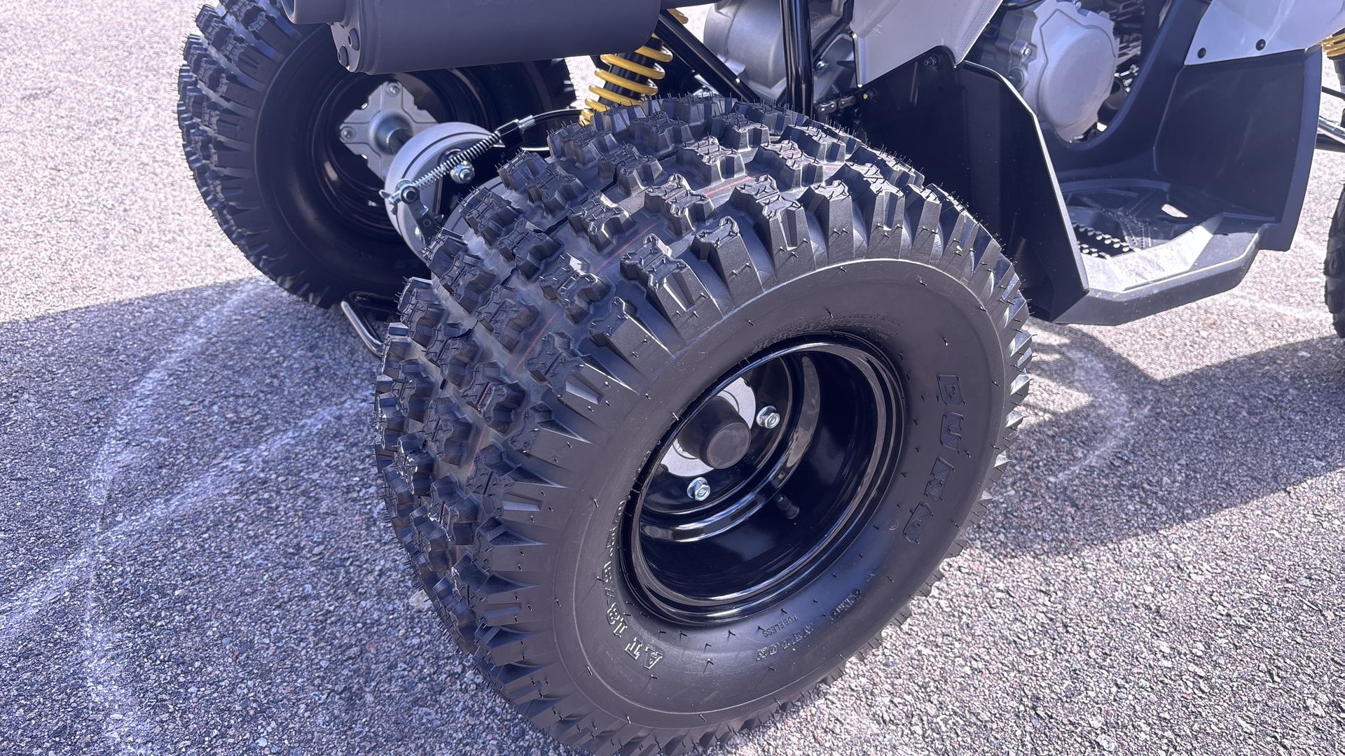 2026 Can-Am RENEGADE 110 EFI - Photo 15
