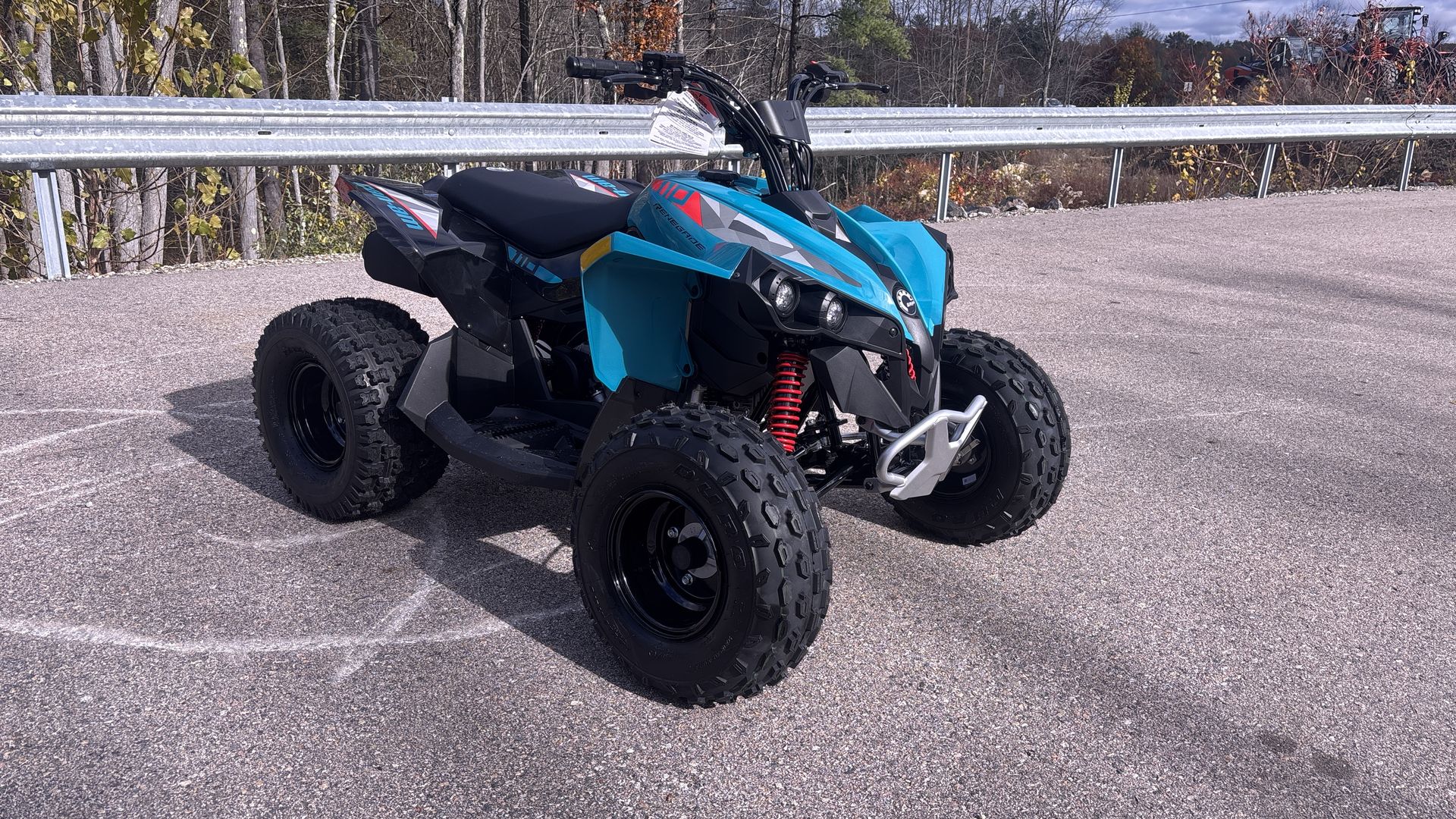 2026 Can-Am RENEGADE 110 EFI