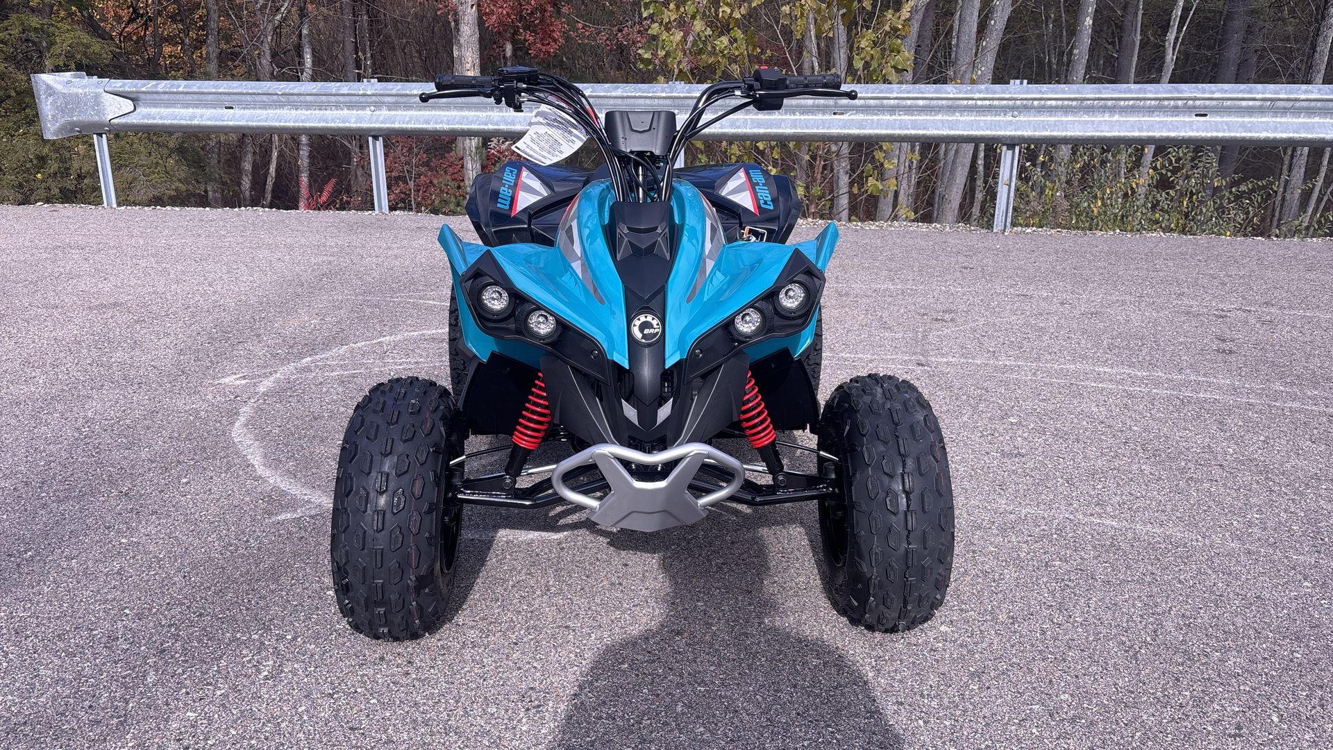 2026 Can-Am RENEGADE 110 EFI - Photo 2