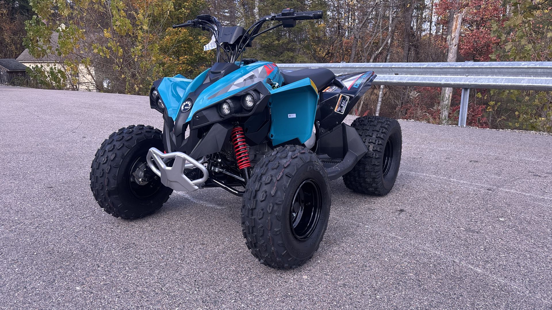 2026 Can-Am RENEGADE 110 EFI - Photo 3