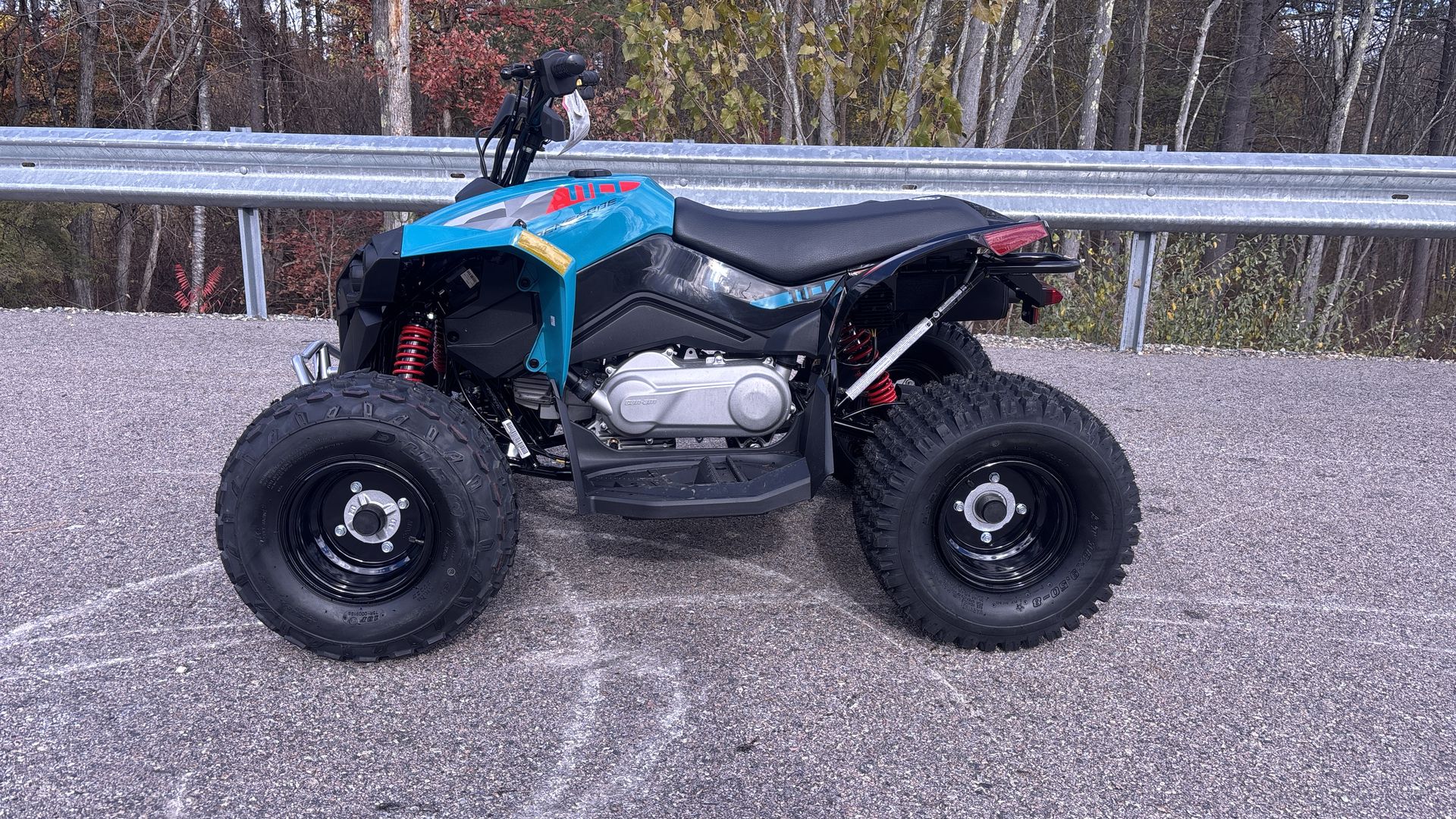 2026 Can-Am RENEGADE 110 EFI - Photo 4