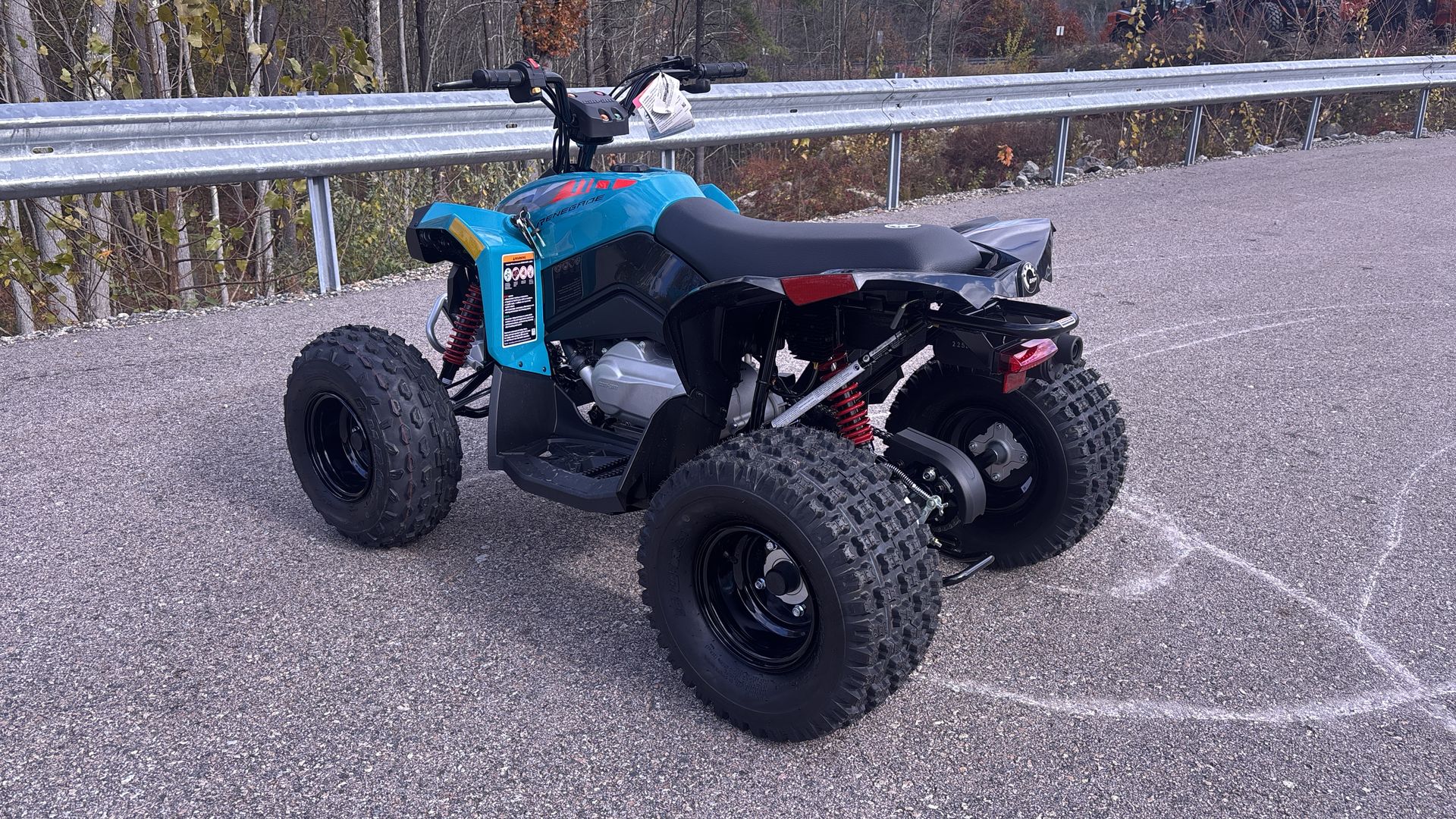 2026 Can-Am RENEGADE 110 EFI - Photo 5