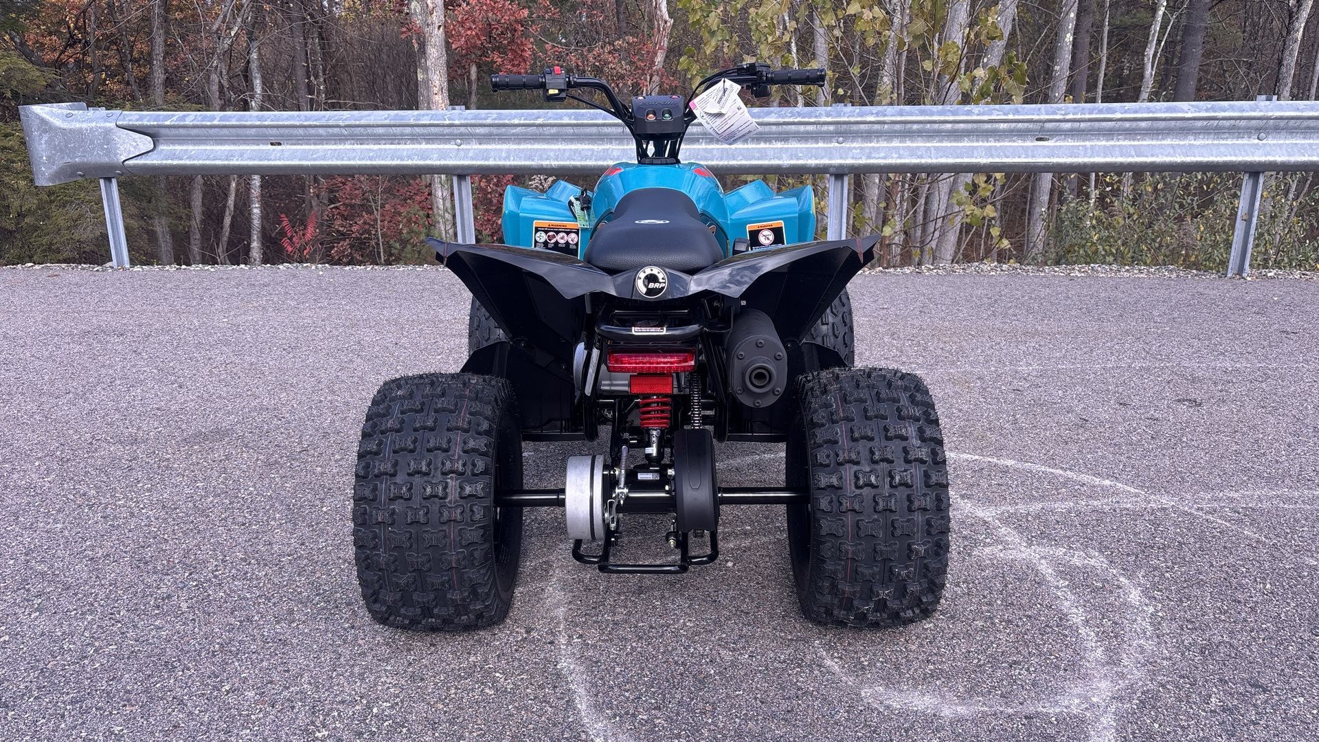 2026 Can-Am RENEGADE 110 EFI - Photo 6