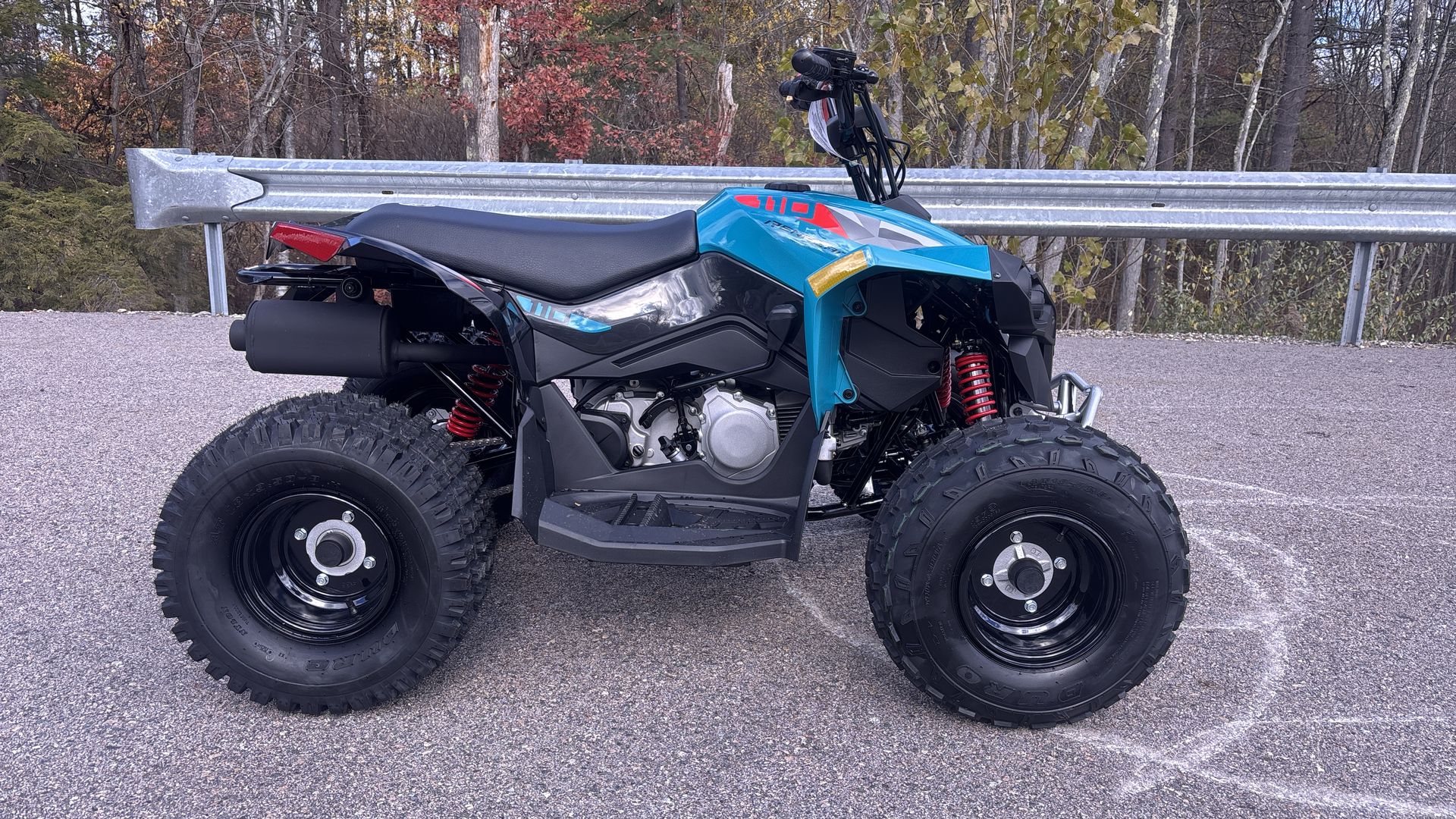 2026 Can-Am RENEGADE 110 EFI - Photo 8