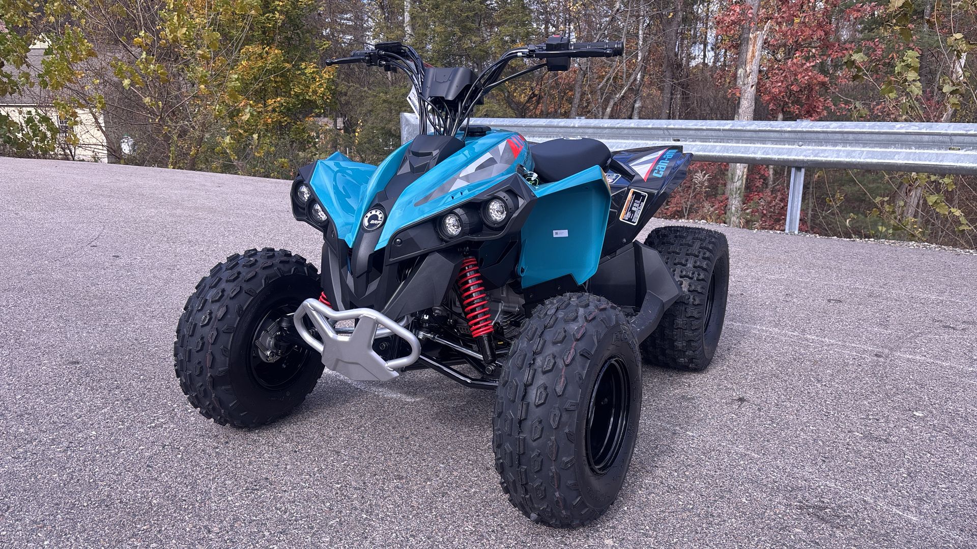 2026 Can-Am RENEGADE 110 EFI - Photo 9