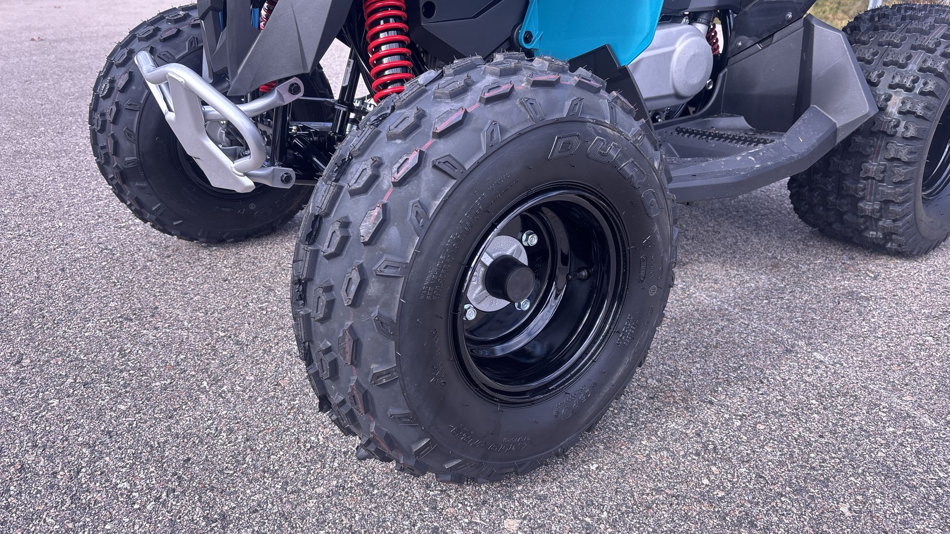 2026 Can-Am RENEGADE 110 EFI - Photo 10