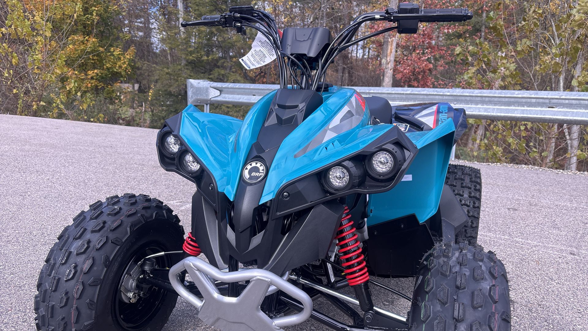 2026 Can-Am RENEGADE 110 EFI - Photo 11