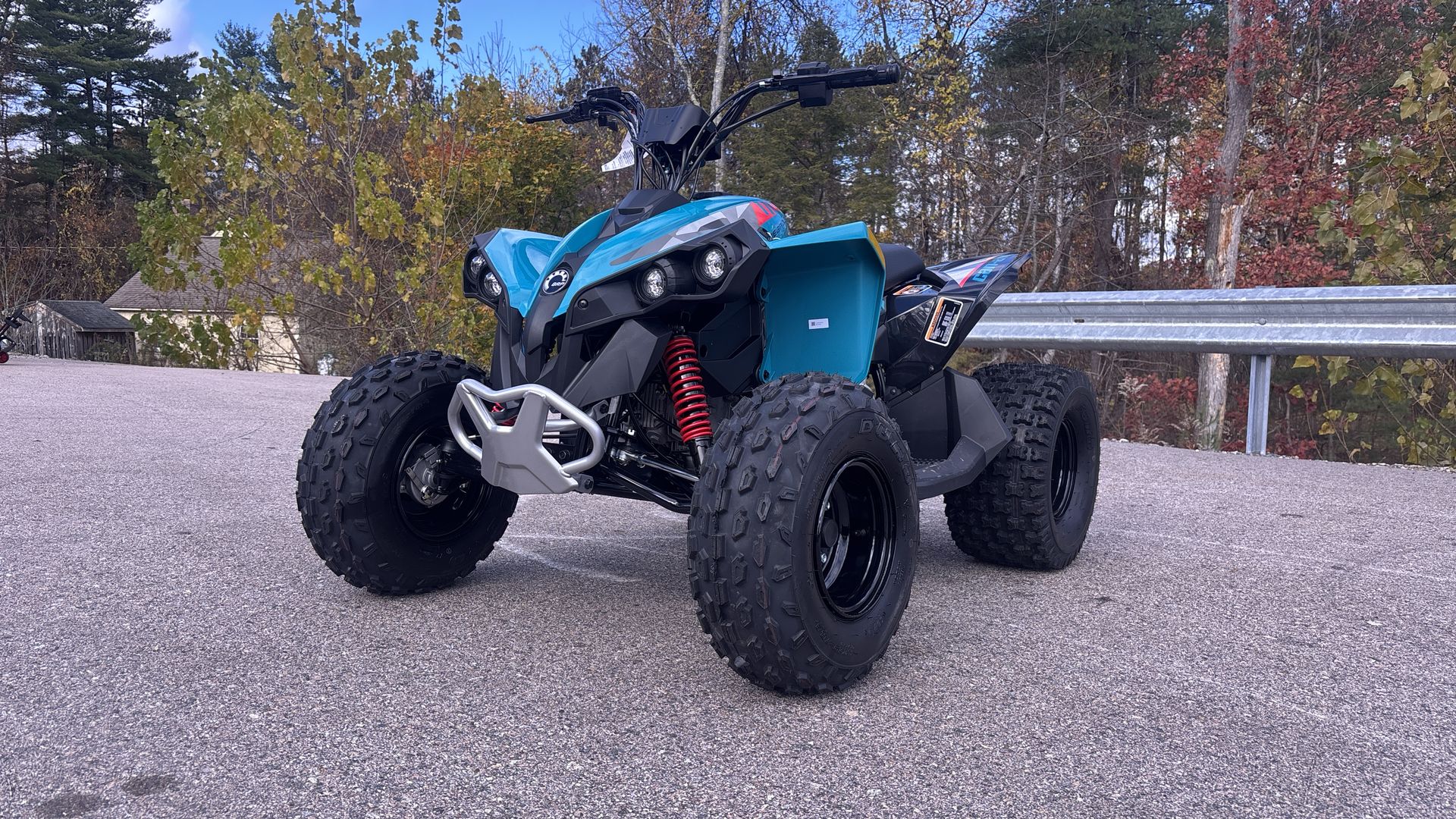 2026 Can-Am RENEGADE 110 EFI - Photo 17