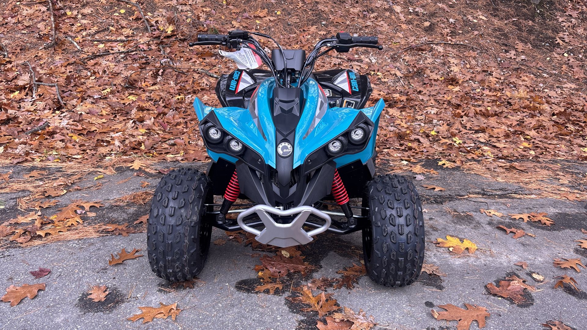 2026 Can-Am RENEGADE 70 EFI - Photo 2