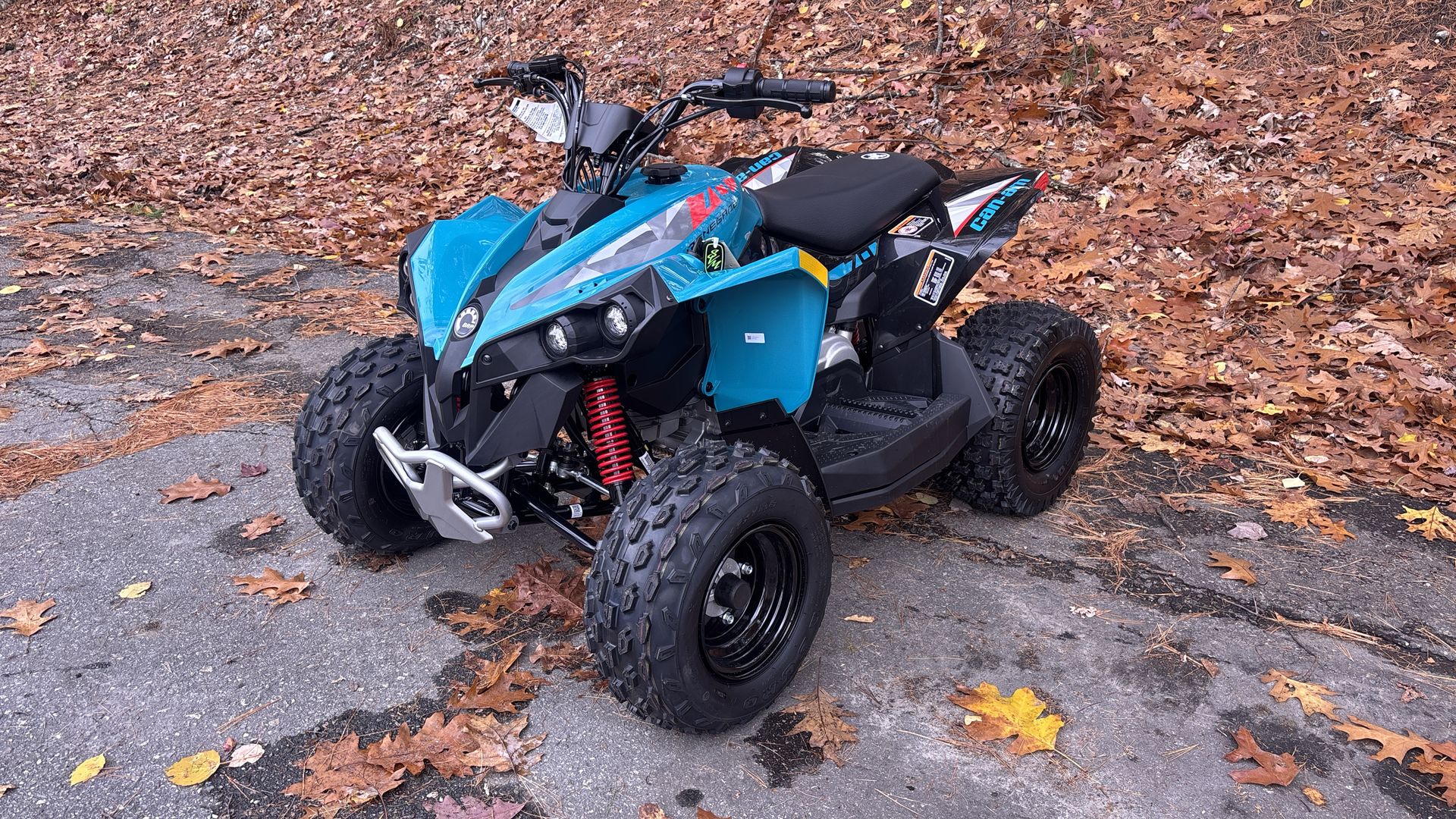 2026 Can-Am RENEGADE 70 EFI - Photo 3