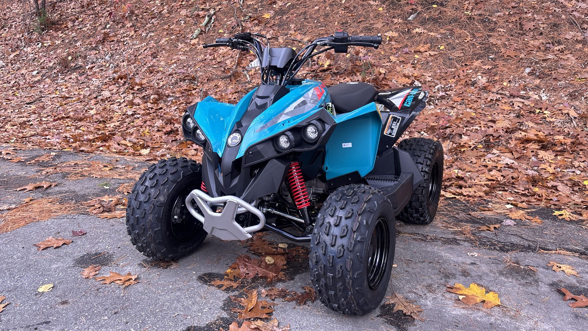 2026 Can-Am RENEGADE 70 EFI - Photo 9