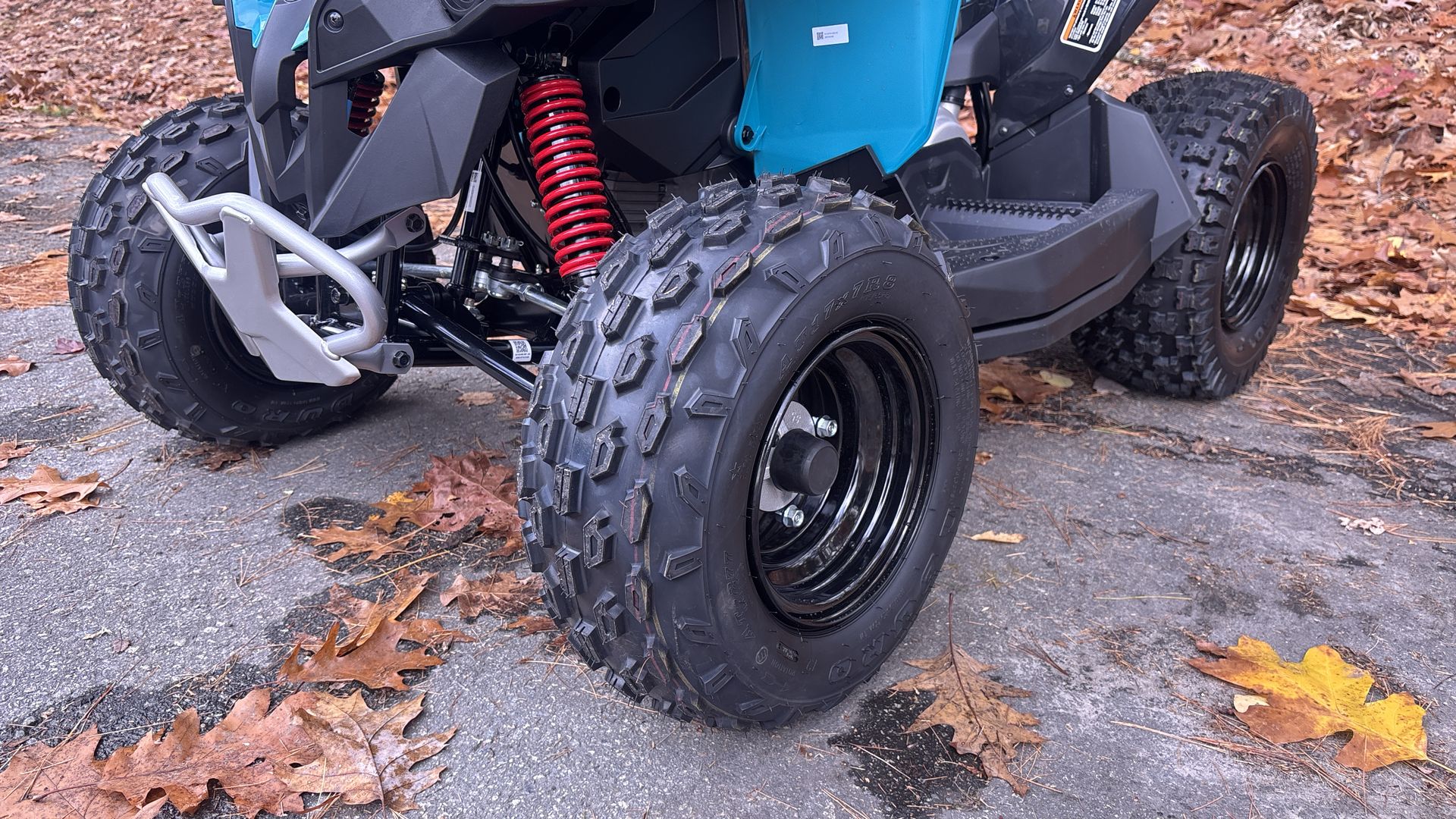 2026 Can-Am RENEGADE 70 EFI - Photo 10